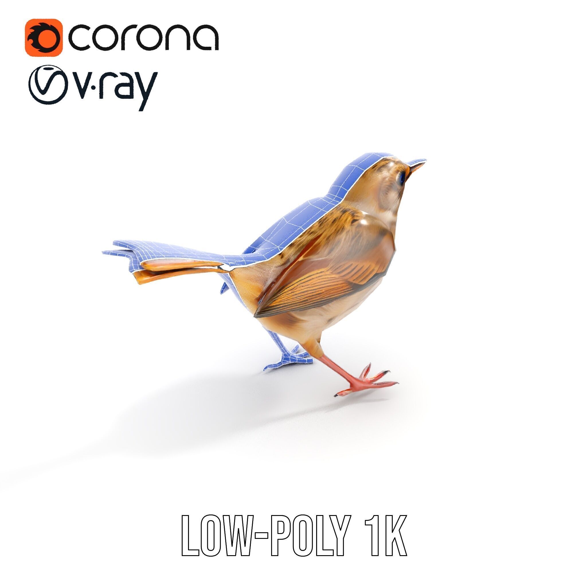 Detailed Realistic Bird D Model Pack Low-poly 3D model_25