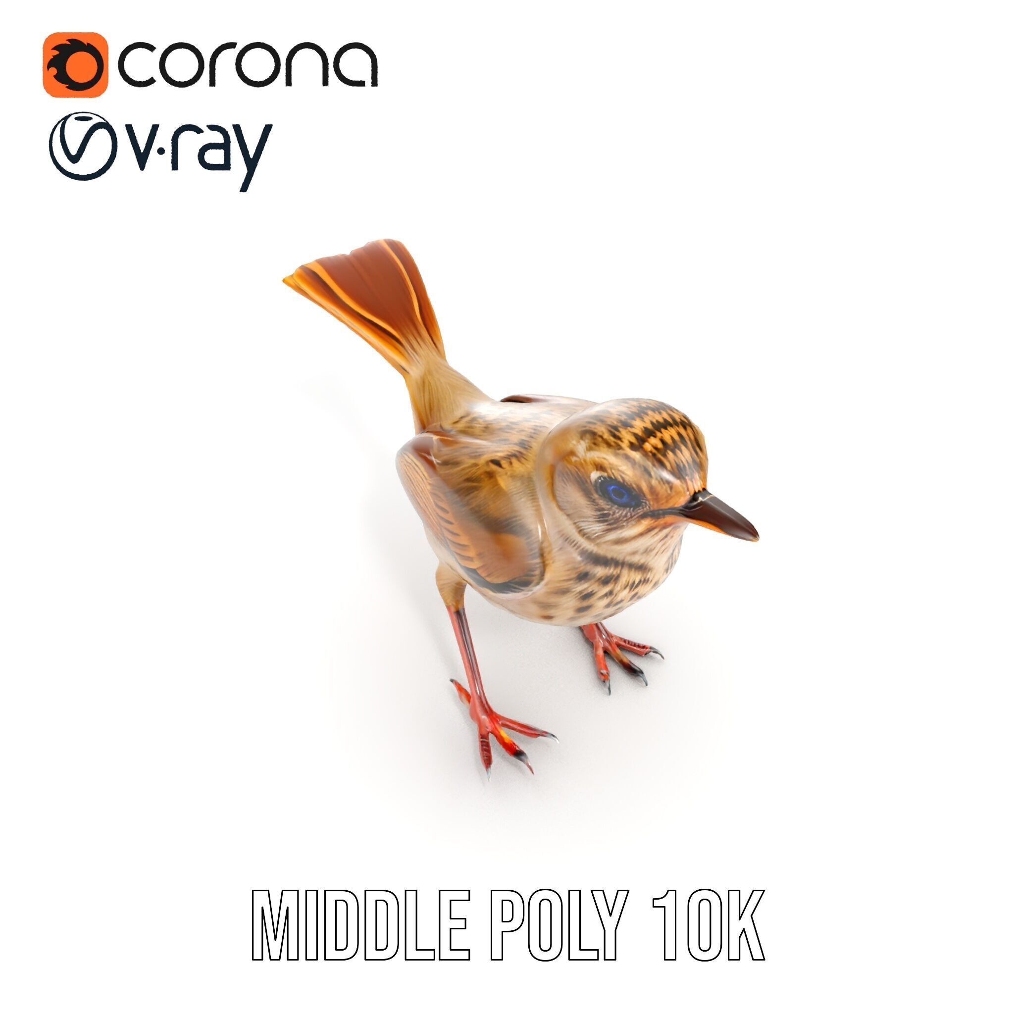 Detailed Realistic Bird D Model Pack Low-poly 3D model_31
