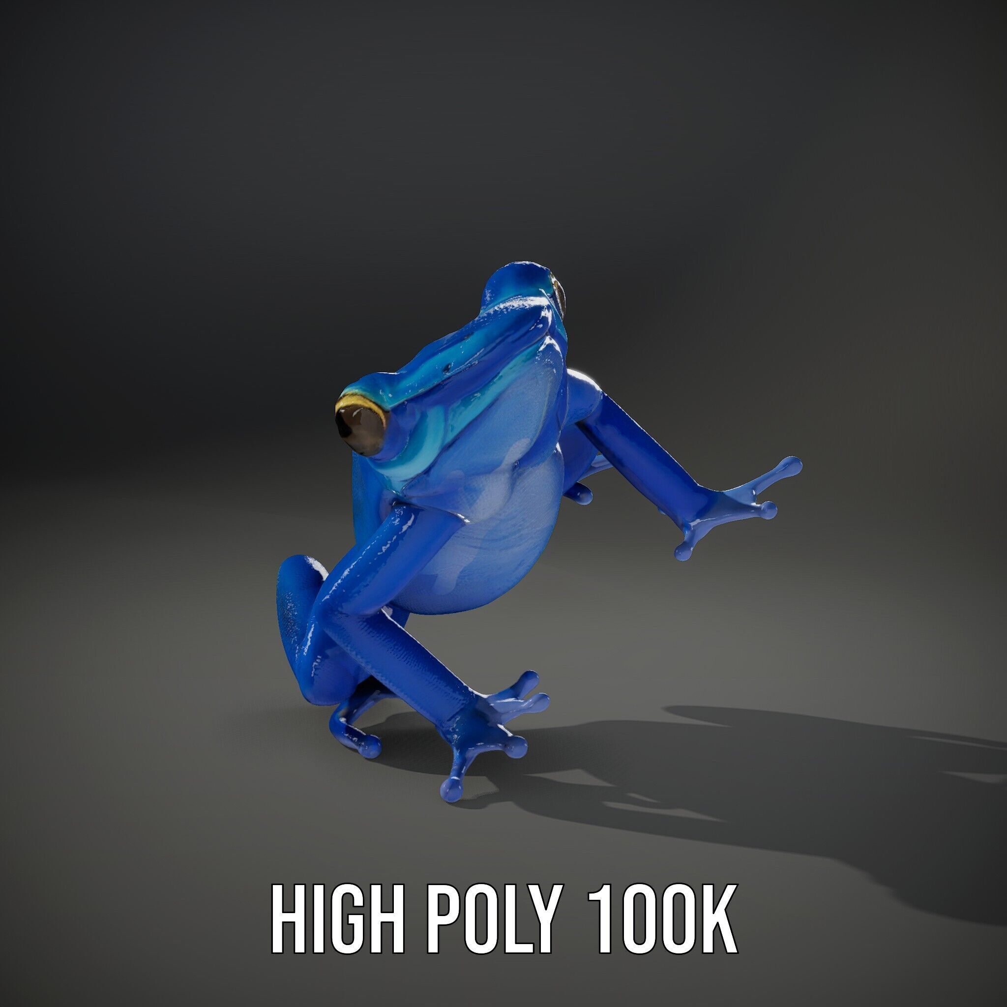Frog Creature Realistic Model Pack Low-poly 3D model_11