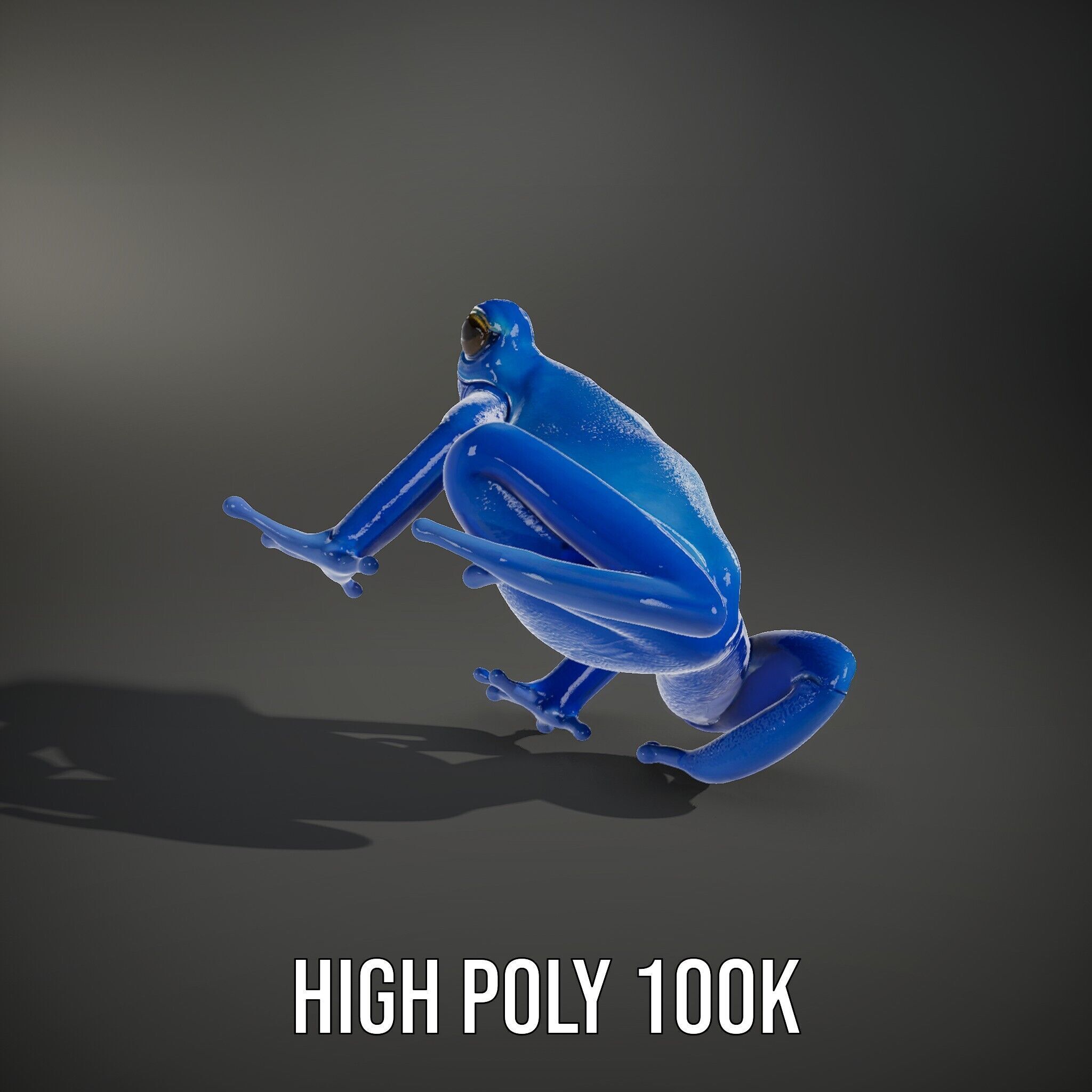 Frog Creature Realistic Model Pack Low-poly 3D model_14