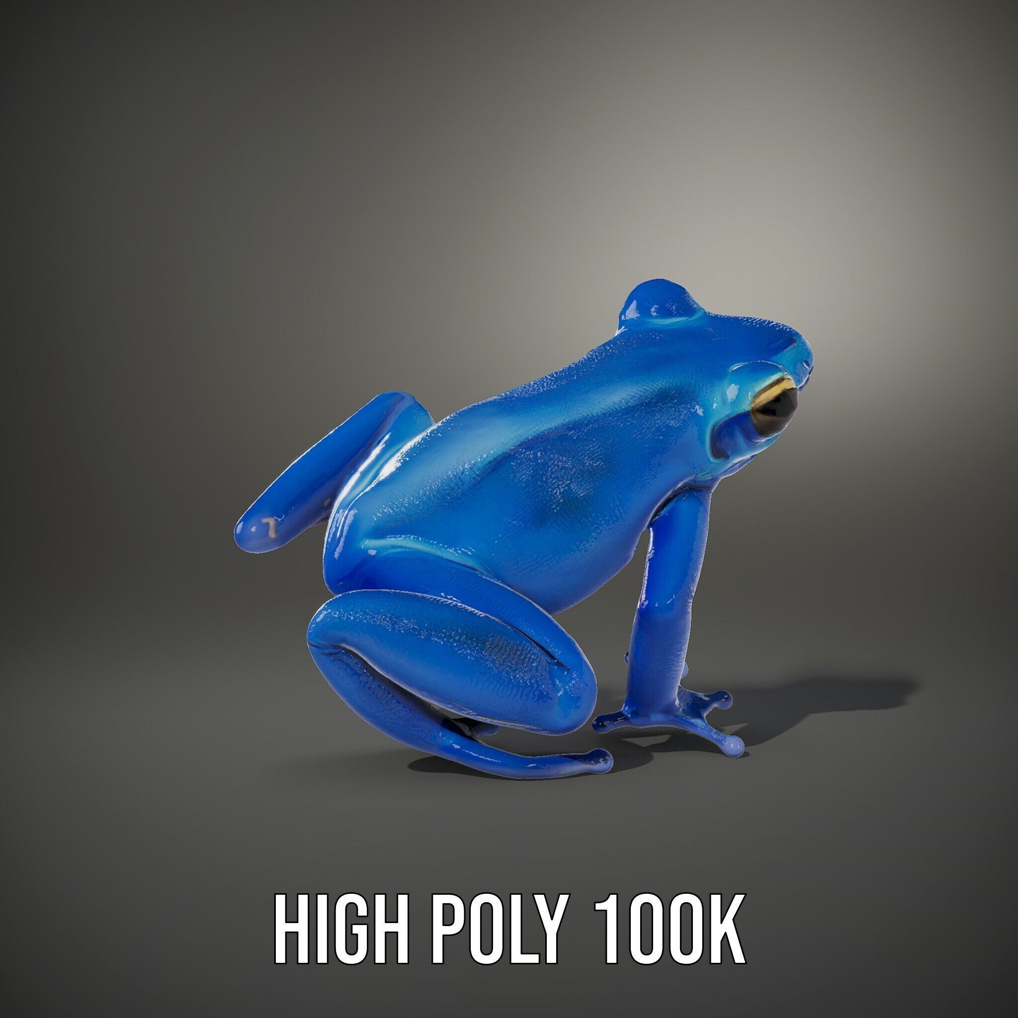 Frog Creature Realistic Model Pack Low-poly 3D model_8