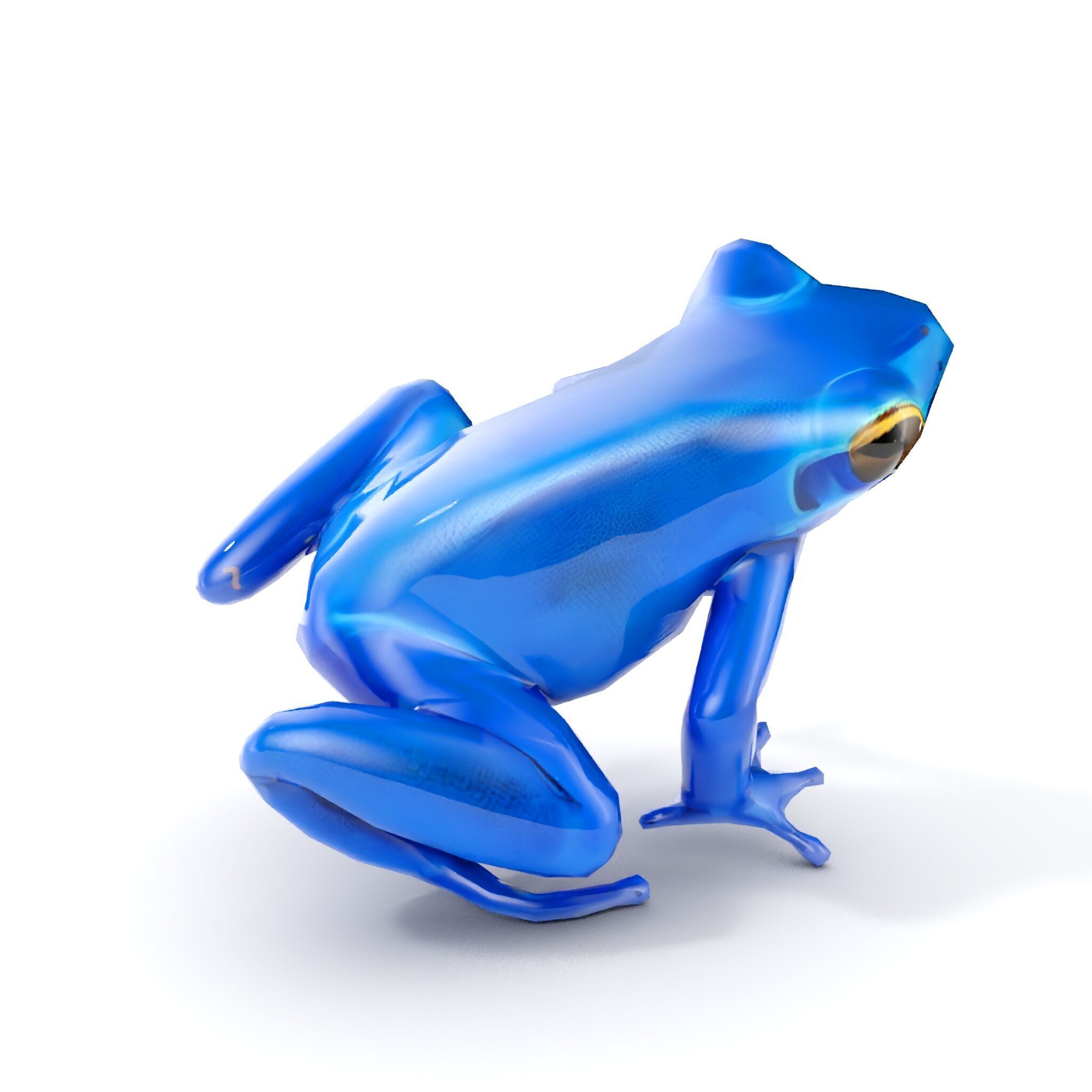 Frog Creature Realistic Model Pack Low-poly 3D model_10
