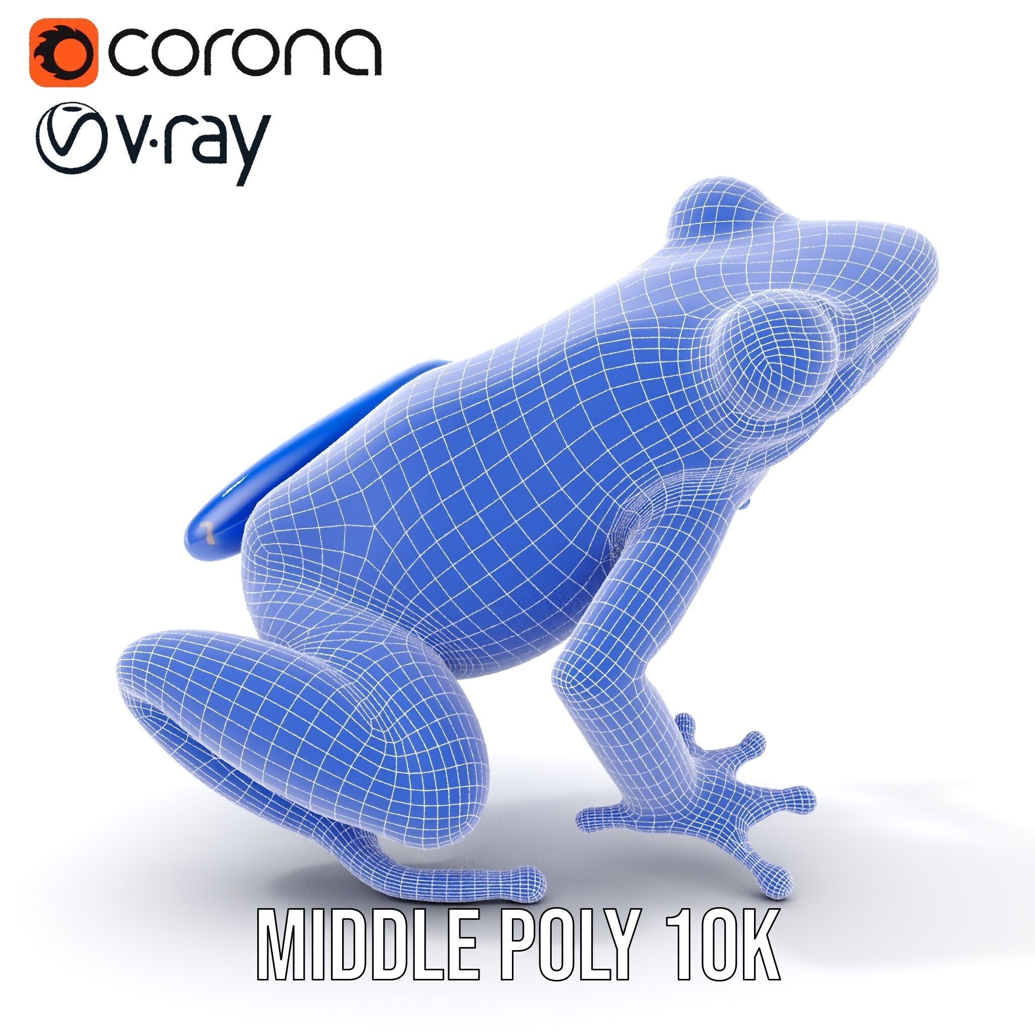 Frog Creature Realistic Model Pack Low-poly 3D model_31