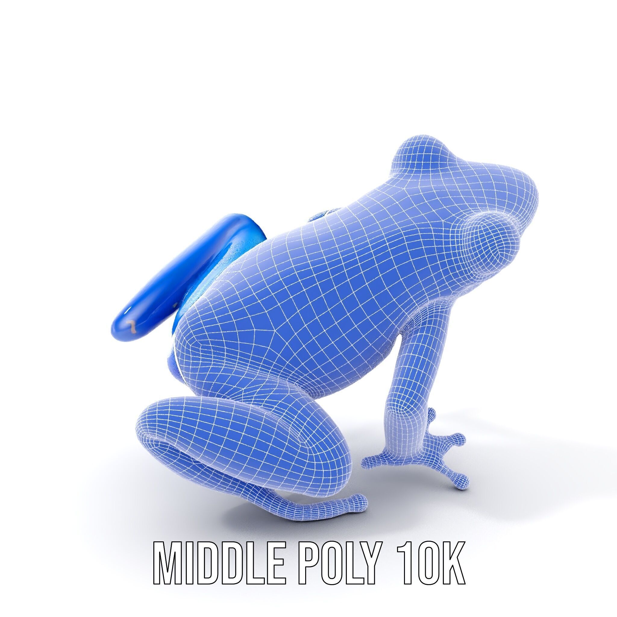 Frog Creature Realistic Model Pack Low-poly 3D model_20