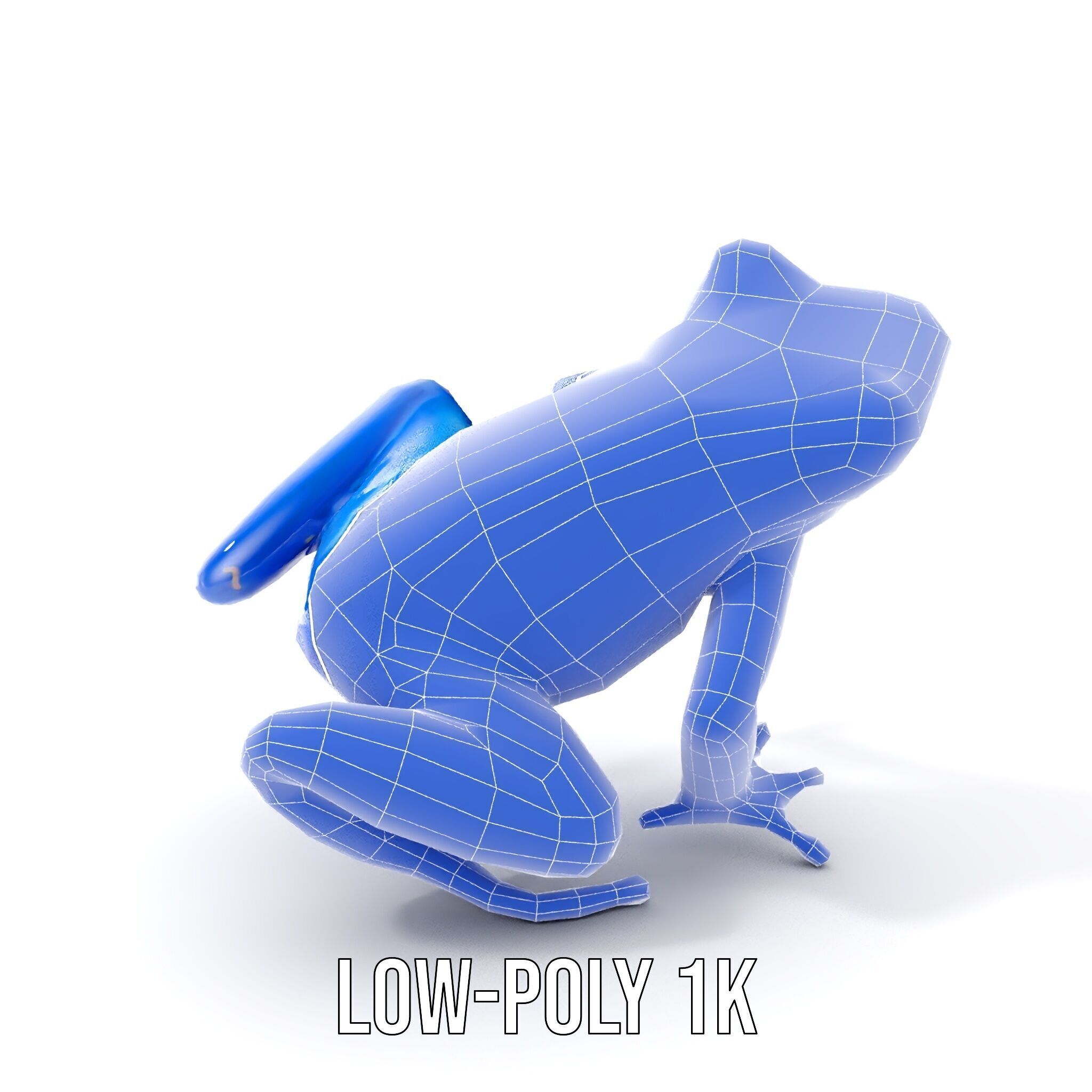 Frog Creature Realistic Model Pack Low-poly 3D model_21