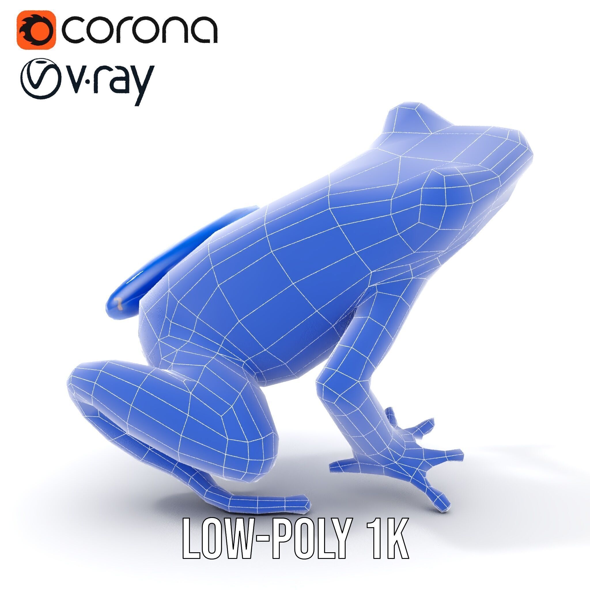 Frog Creature Realistic Model Pack Low-poly 3D model_16