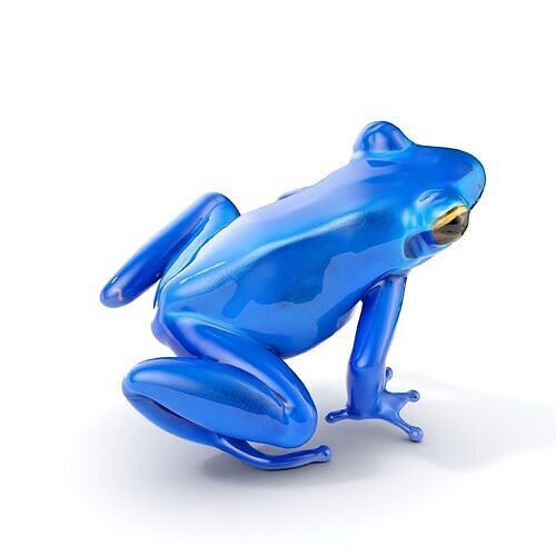 Frog Creature Realistic Model Pack Low-poly 3D model