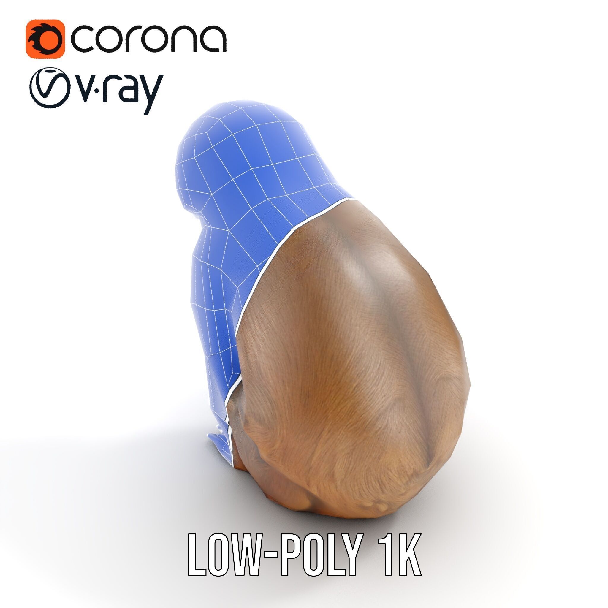 Sloth D model pack  Realistic and Detailed Low-poly 3D model_20