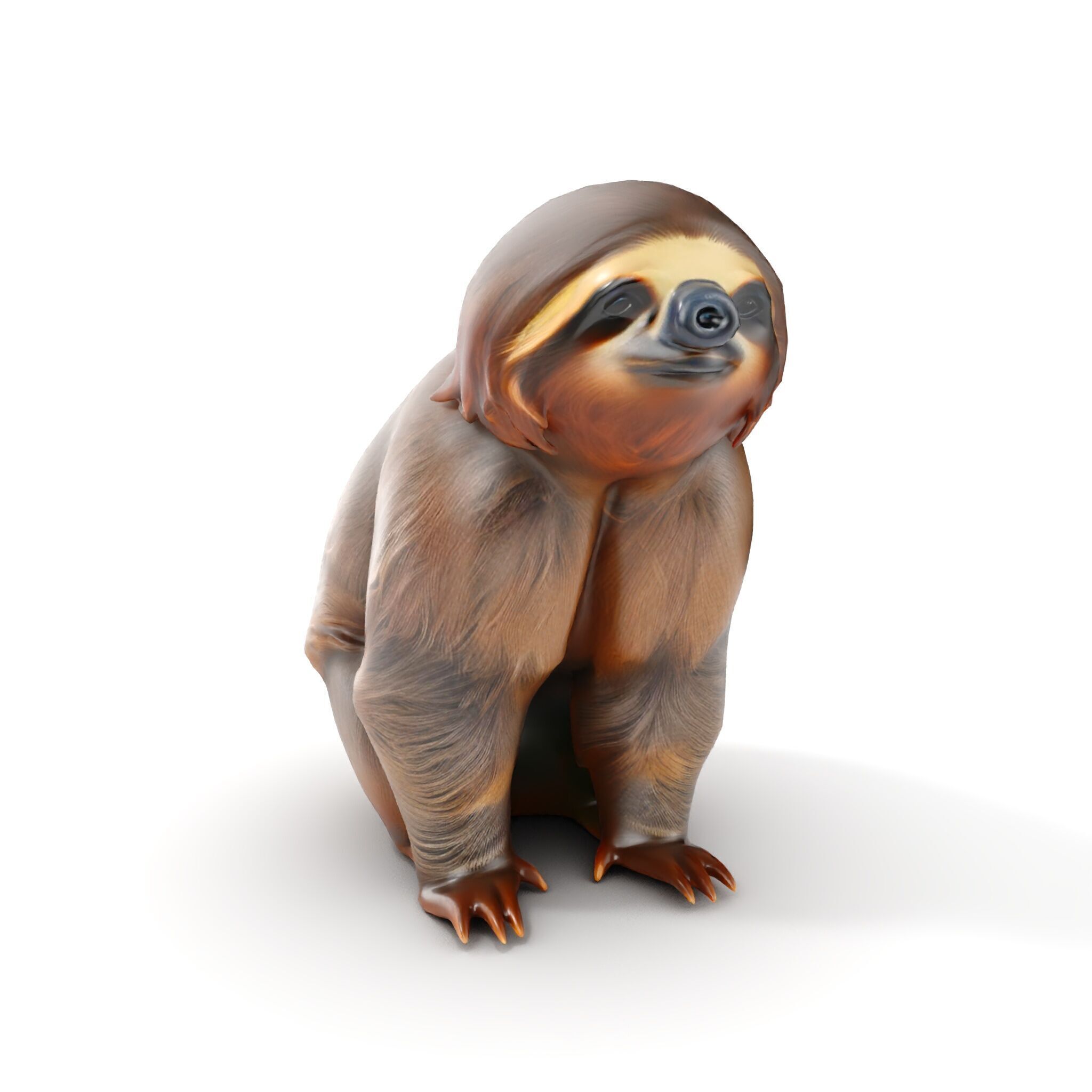 Sloth D model pack  Realistic and Detailed Low-poly 3D model_12