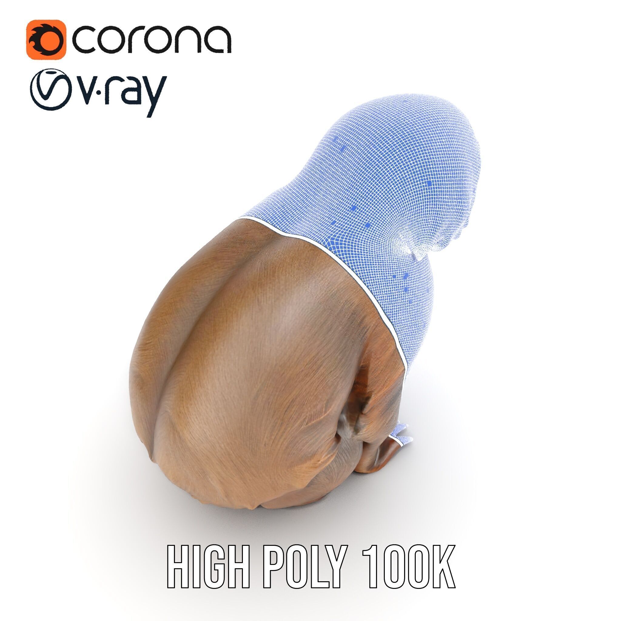 Sloth D model pack  Realistic and Detailed Low-poly 3D model_30