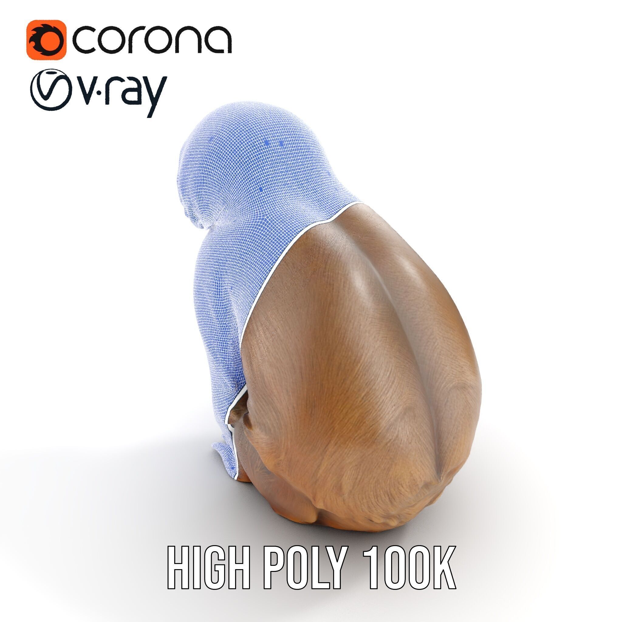 Sloth D model pack  Realistic and Detailed Low-poly 3D model_27