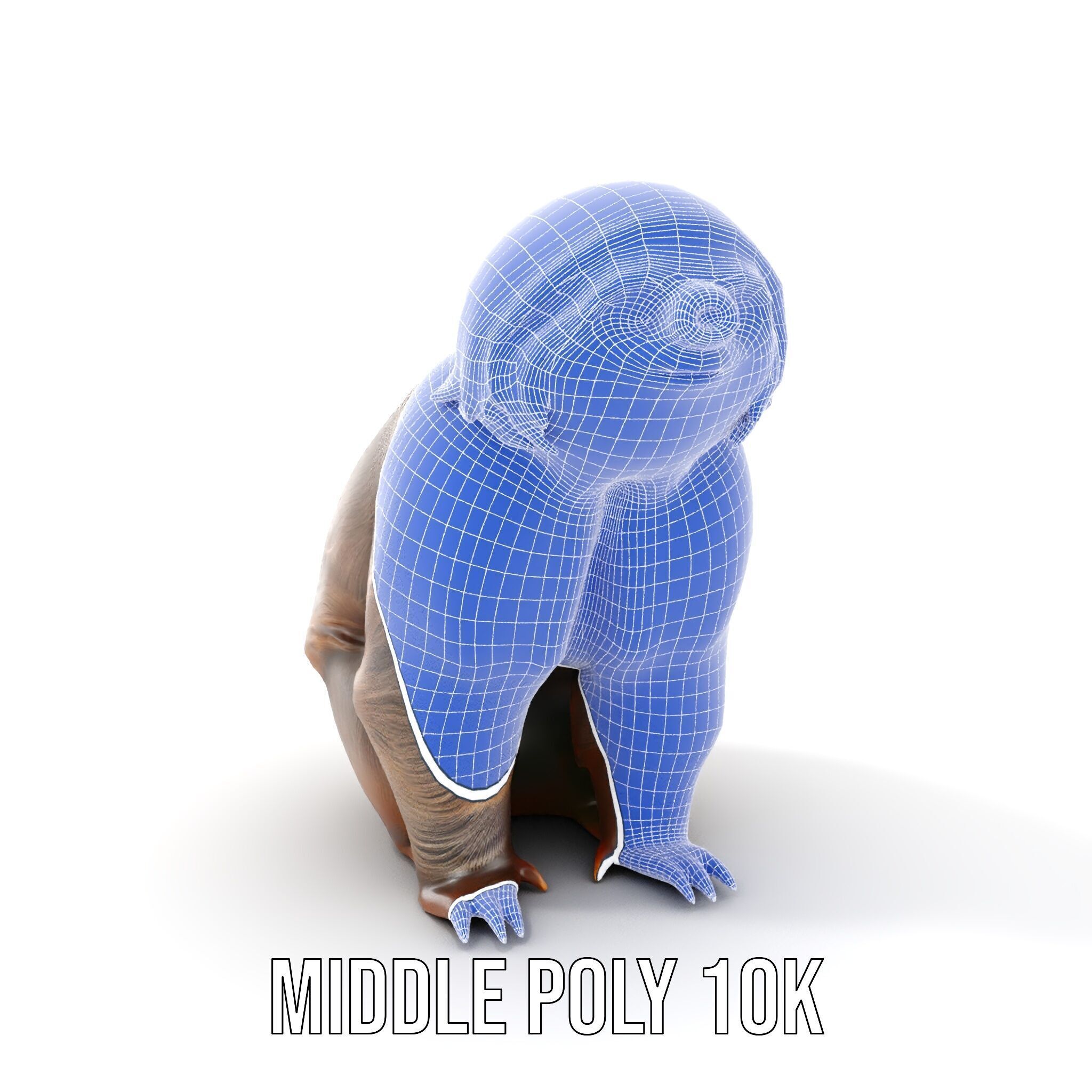 Sloth D model pack  Realistic and Detailed Low-poly 3D model_25