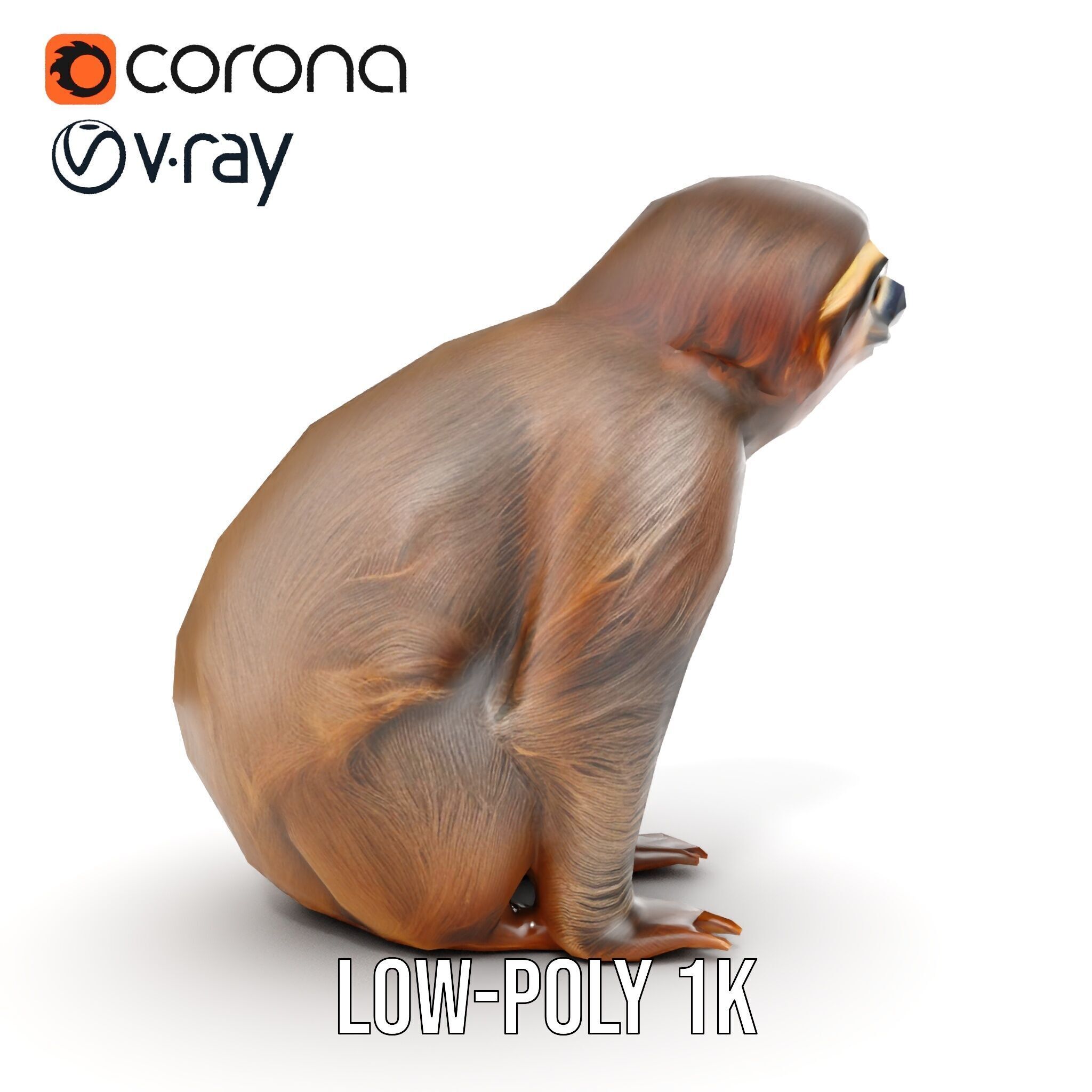 Sloth D model pack  Realistic and Detailed Low-poly 3D model_29