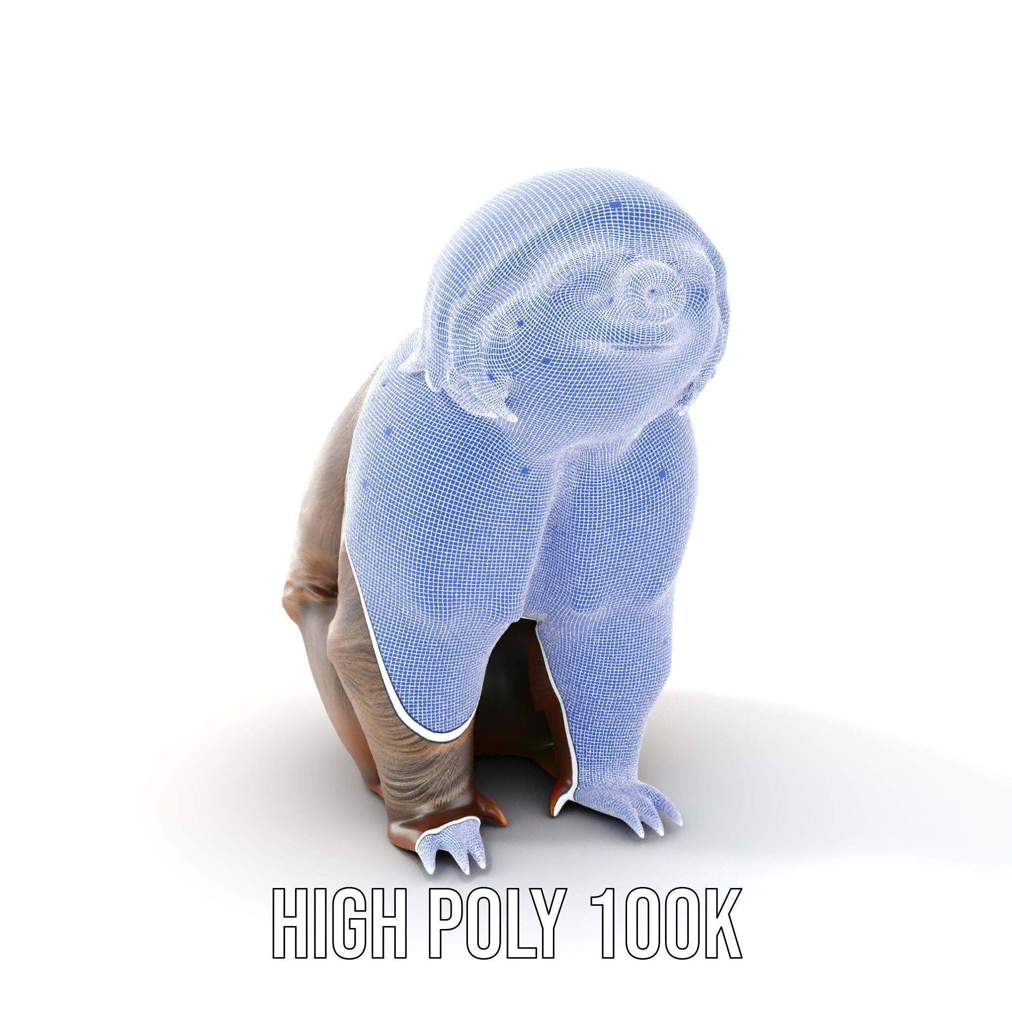 Sloth D model pack  Realistic and Detailed Low-poly 3D model_4