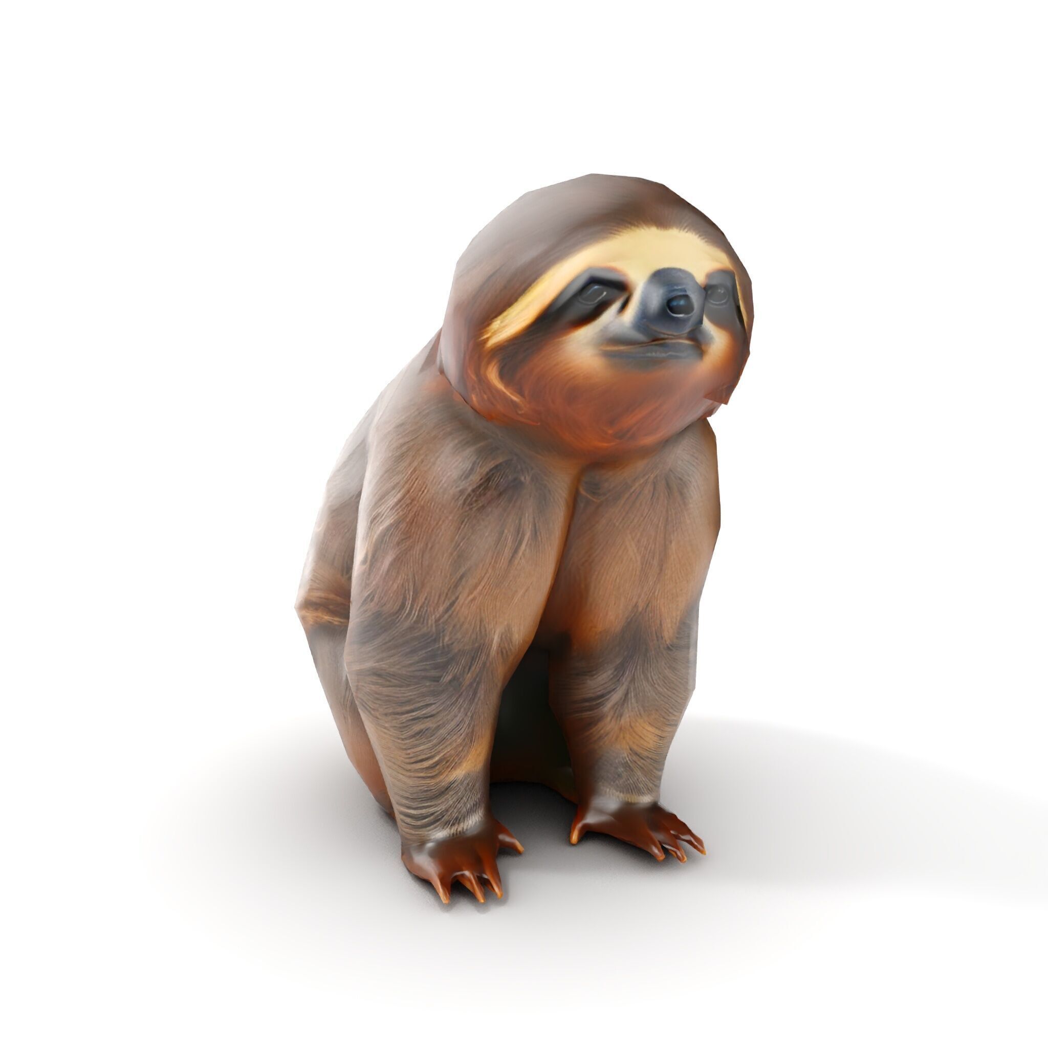 Sloth D model pack  Realistic and Detailed Low-poly 3D model_10