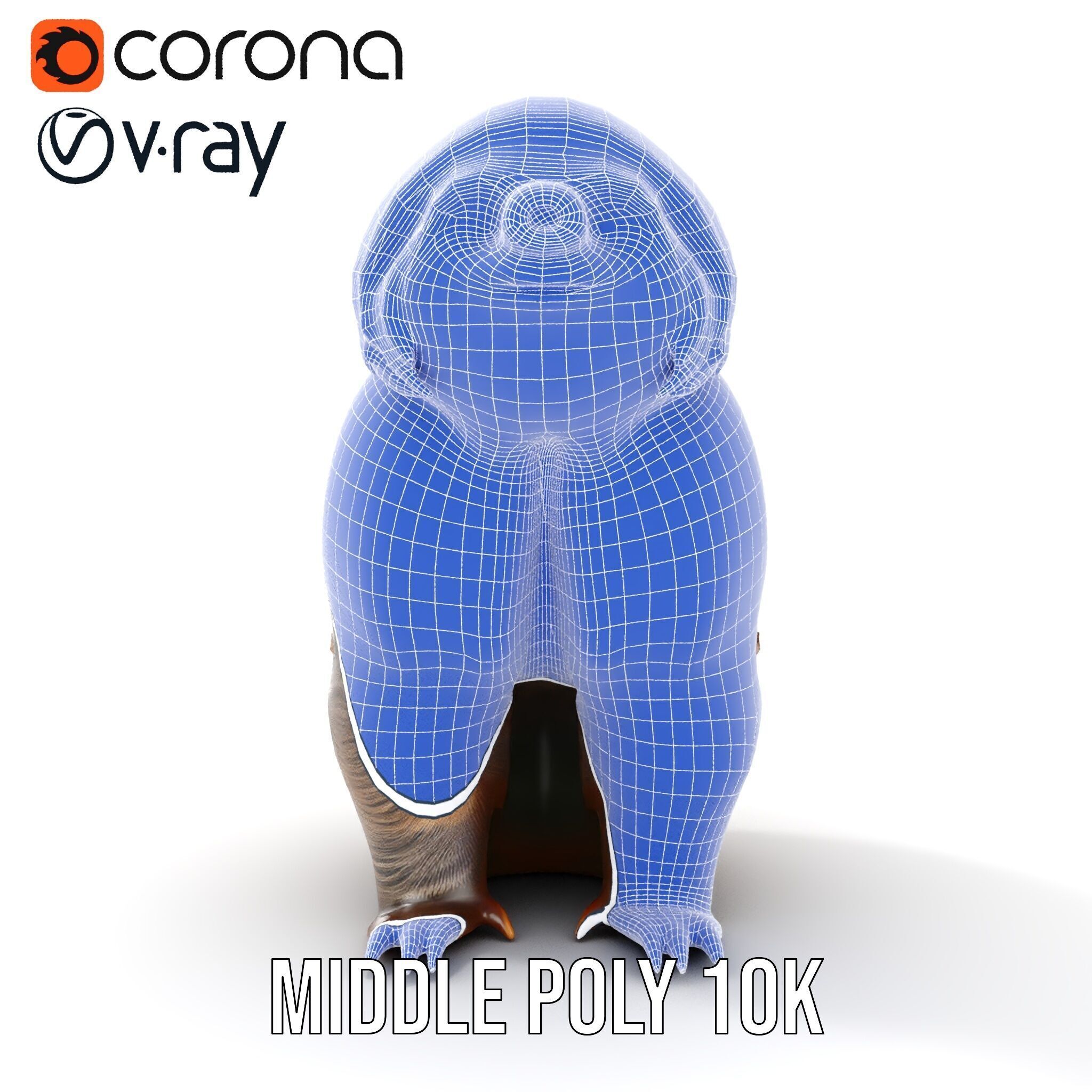 Sloth D model pack  Realistic and Detailed Low-poly 3D model_28