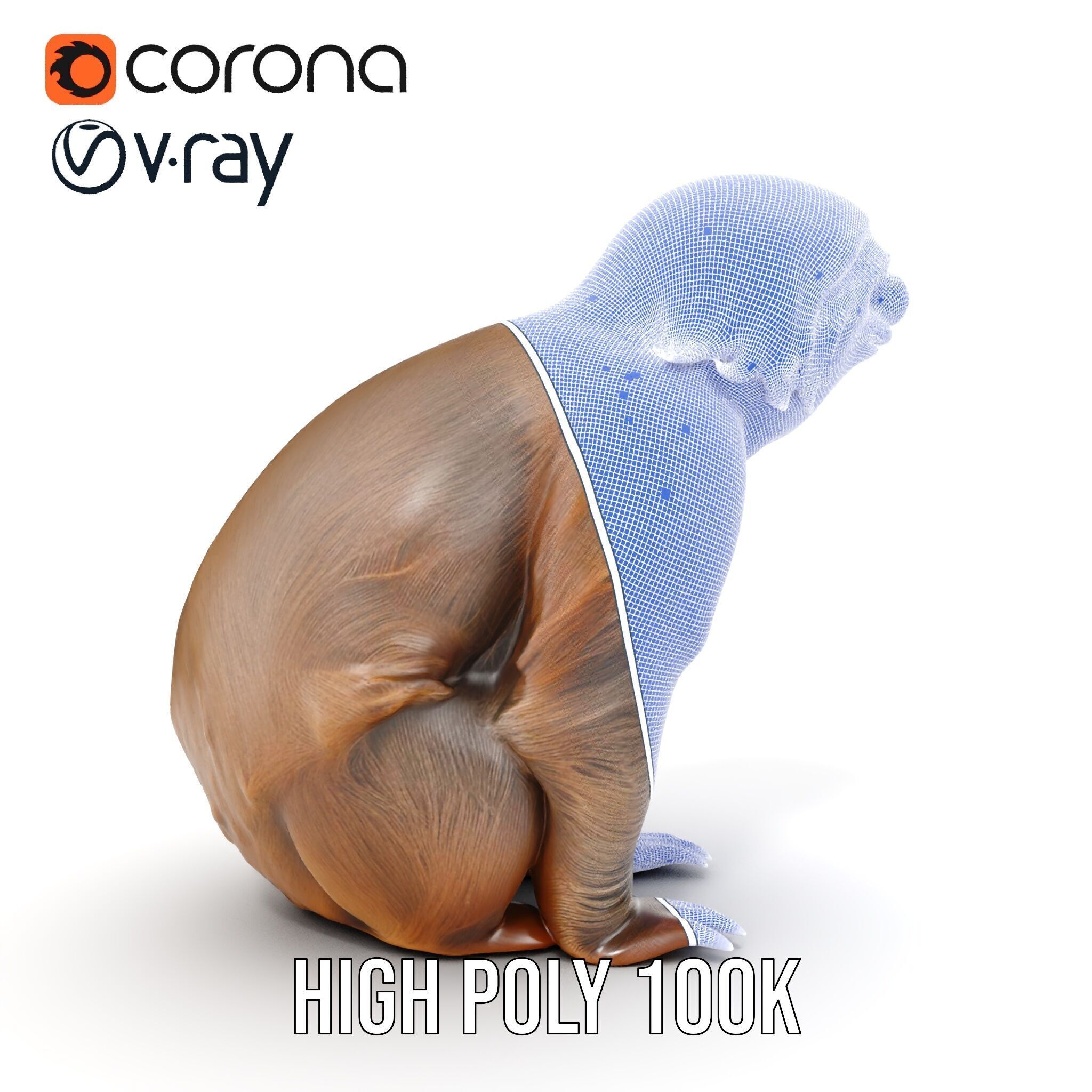 Sloth D model pack  Realistic and Detailed Low-poly 3D model_38