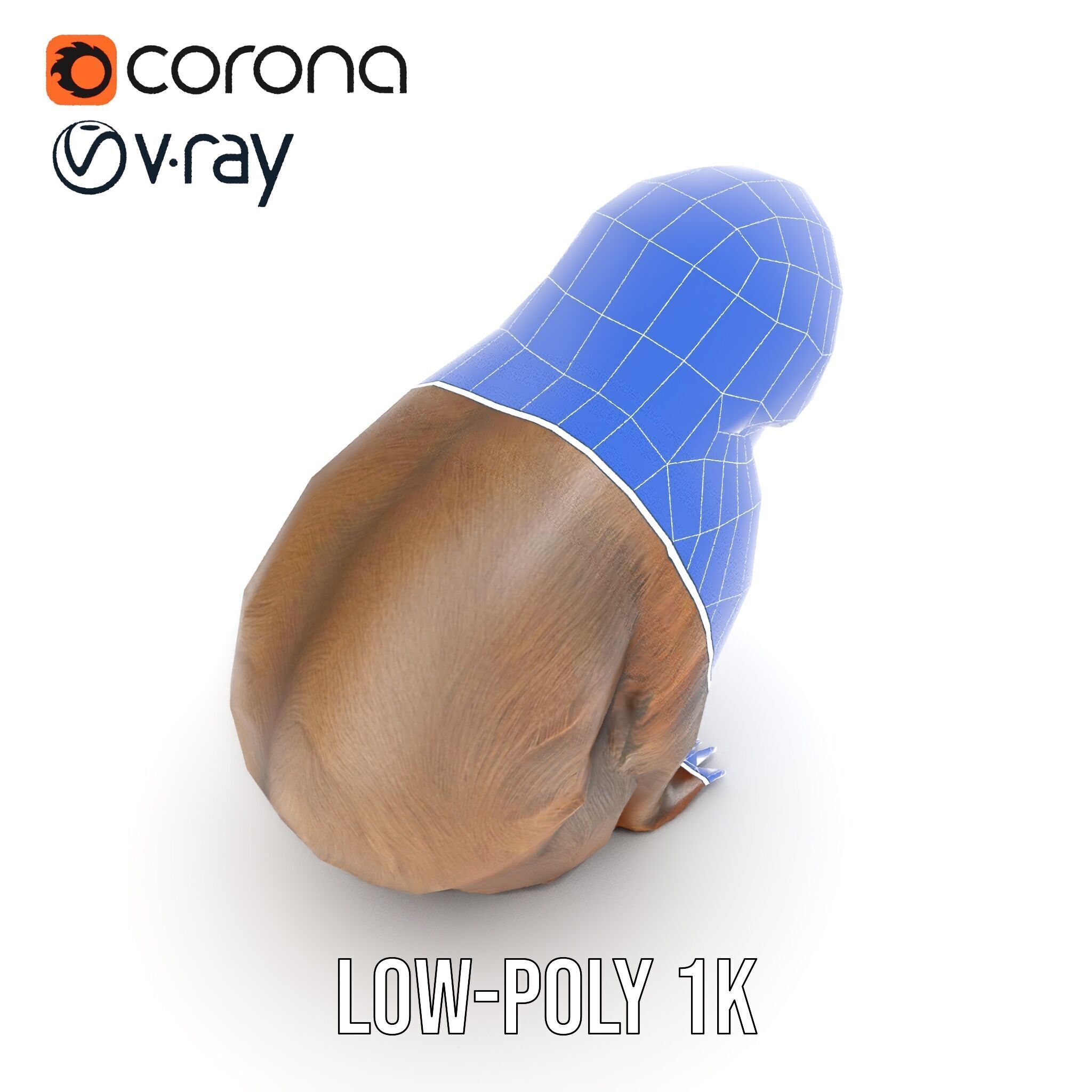 Sloth D model pack  Realistic and Detailed Low-poly 3D model_26