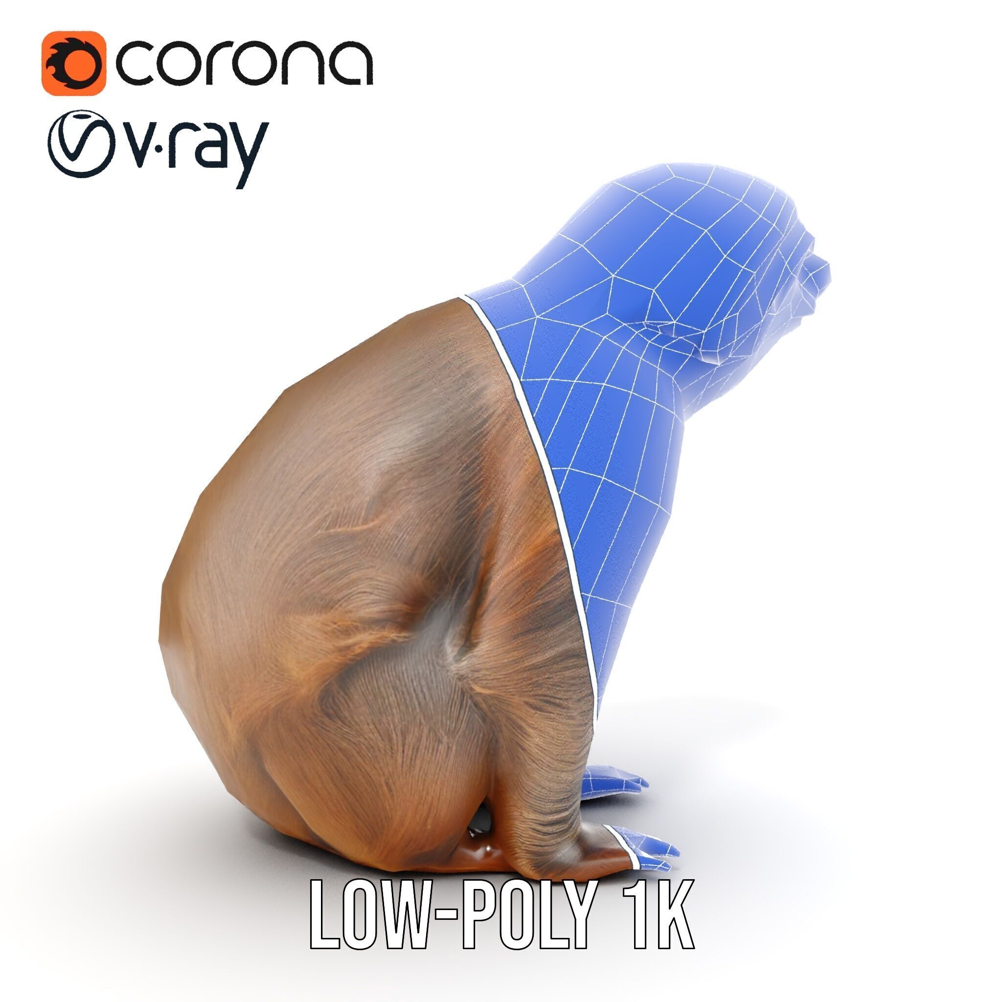 Sloth D model pack  Realistic and Detailed Low-poly 3D model_23