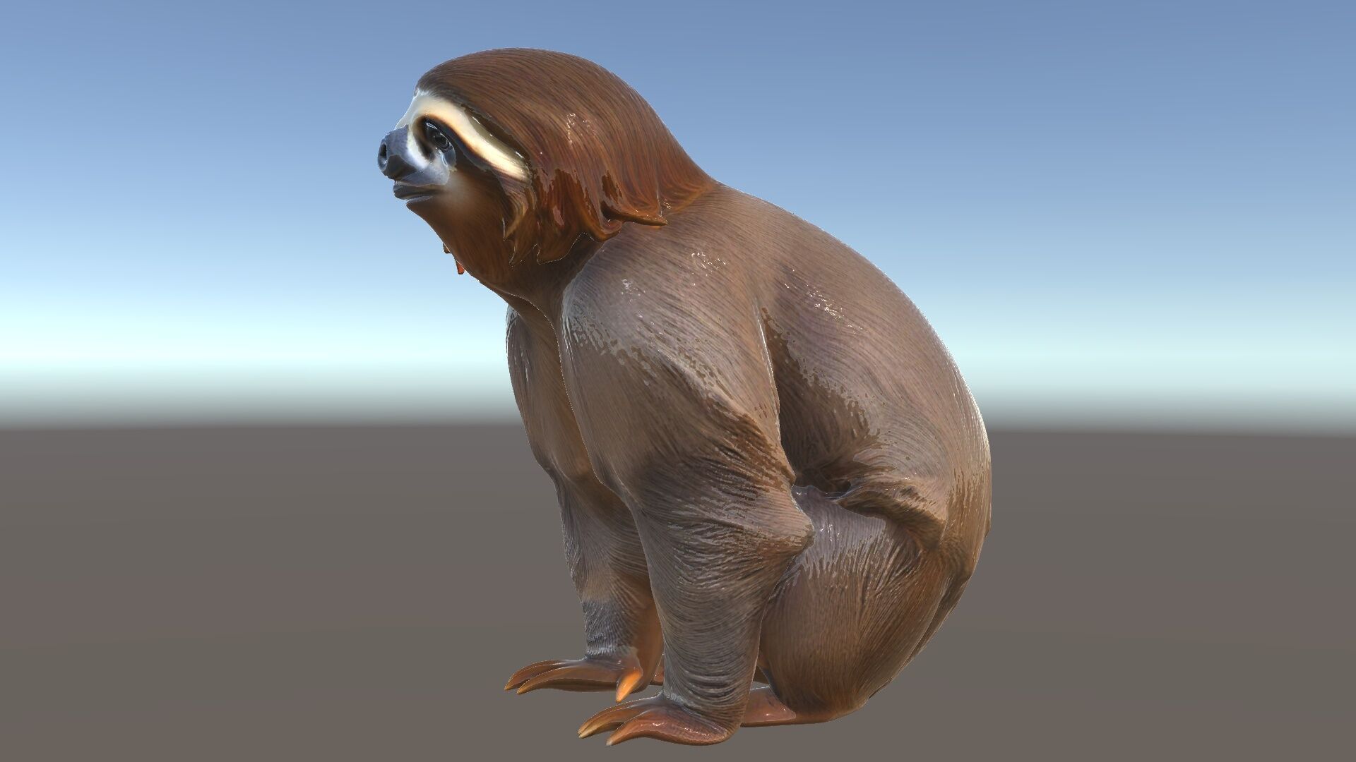Sloth D model pack  Realistic and Detailed Low-poly 3D model_5