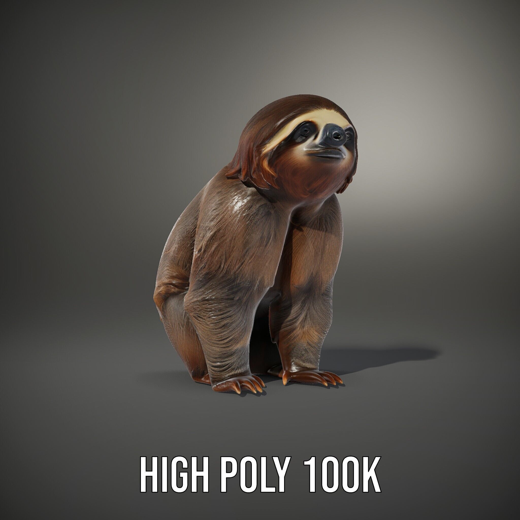 Sloth D model pack  Realistic and Detailed Low-poly 3D model_8