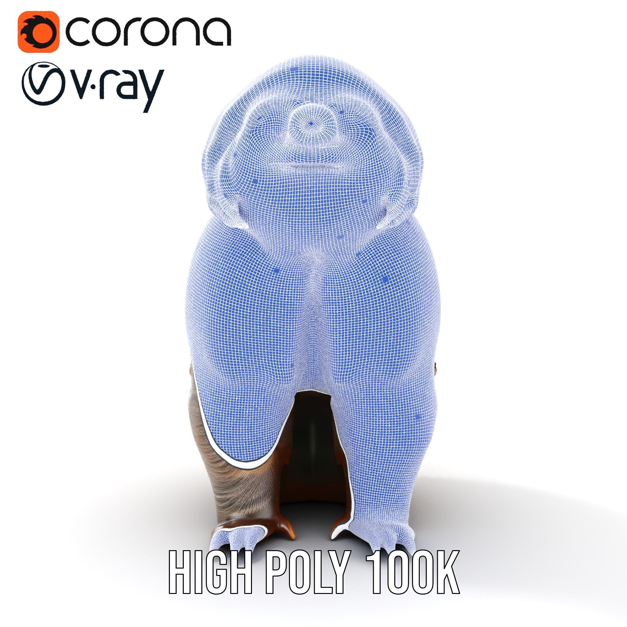 Sloth D model pack  Realistic and Detailed Low-poly 3D model_37