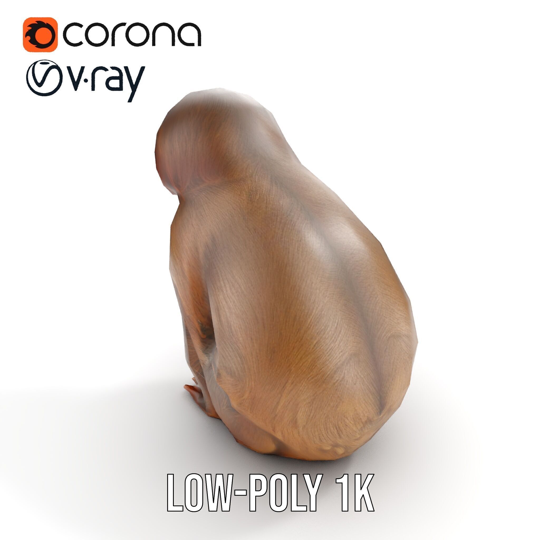 Sloth D model pack  Realistic and Detailed Low-poly 3D model_7