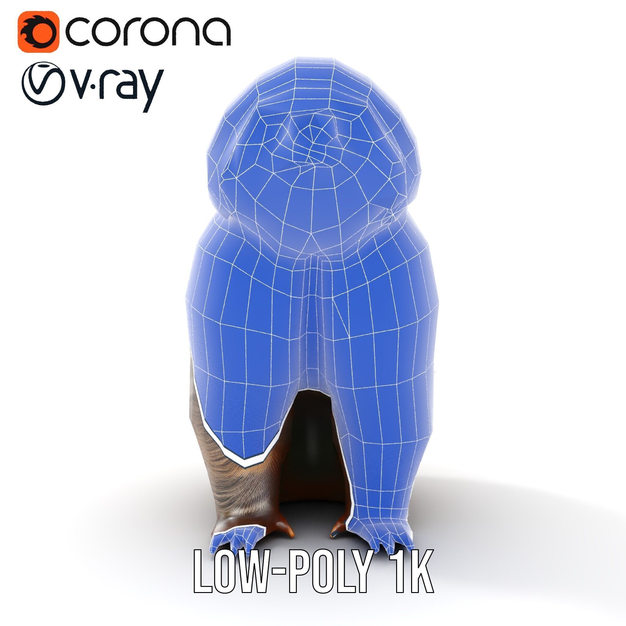 Sloth D model pack  Realistic and Detailed Low-poly 3D model_16