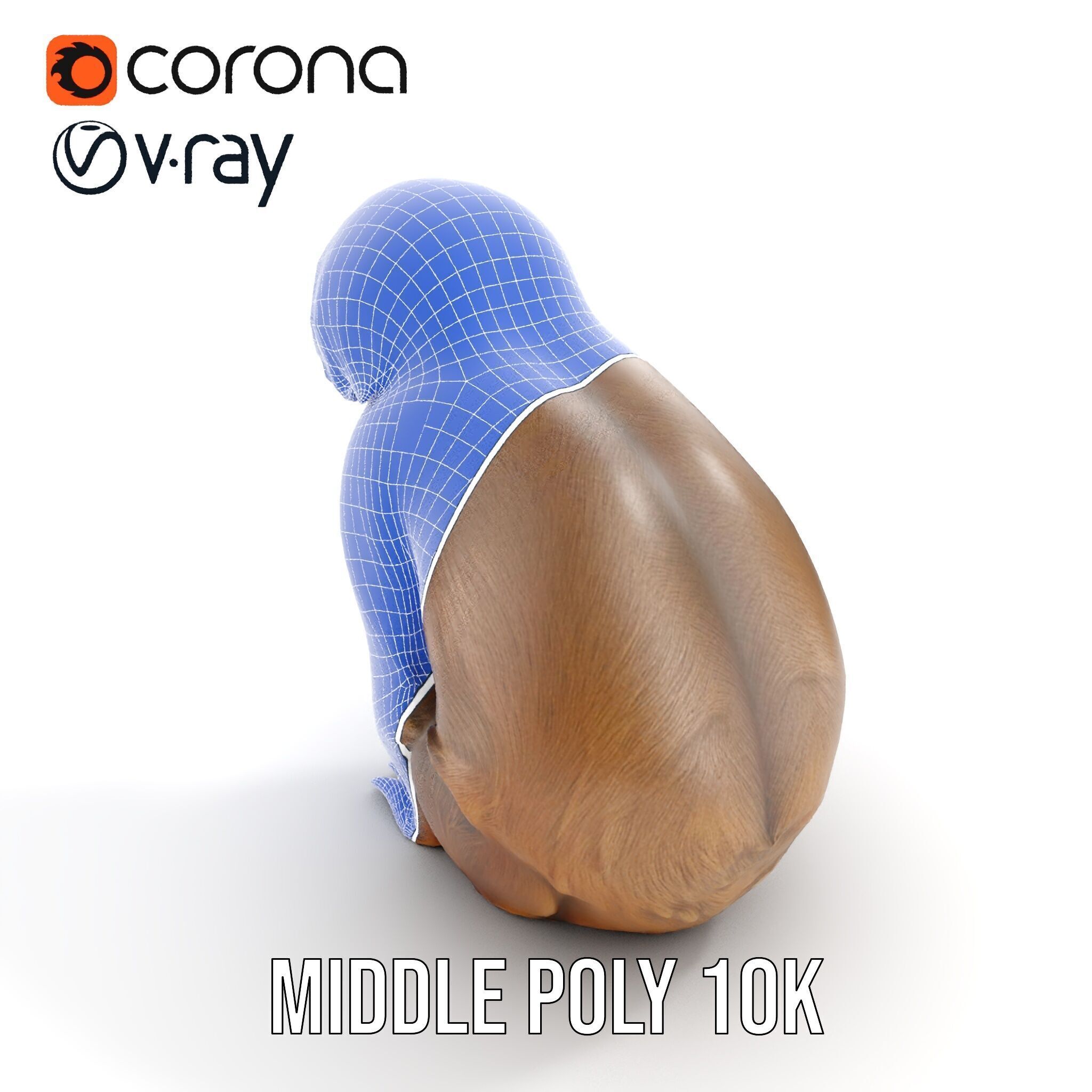 Sloth D model pack  Realistic and Detailed Low-poly 3D model_19