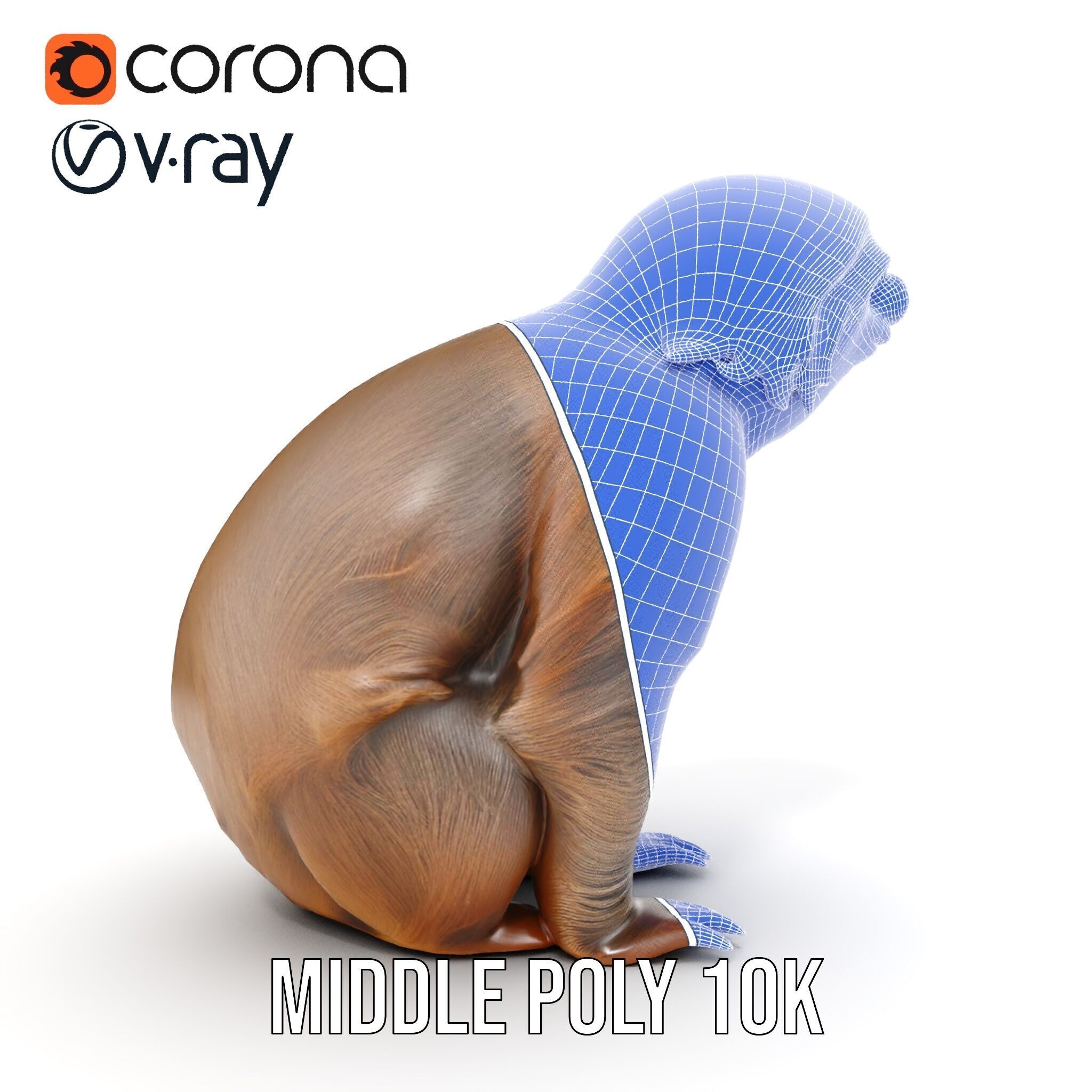 Sloth D model pack  Realistic and Detailed Low-poly 3D model_22