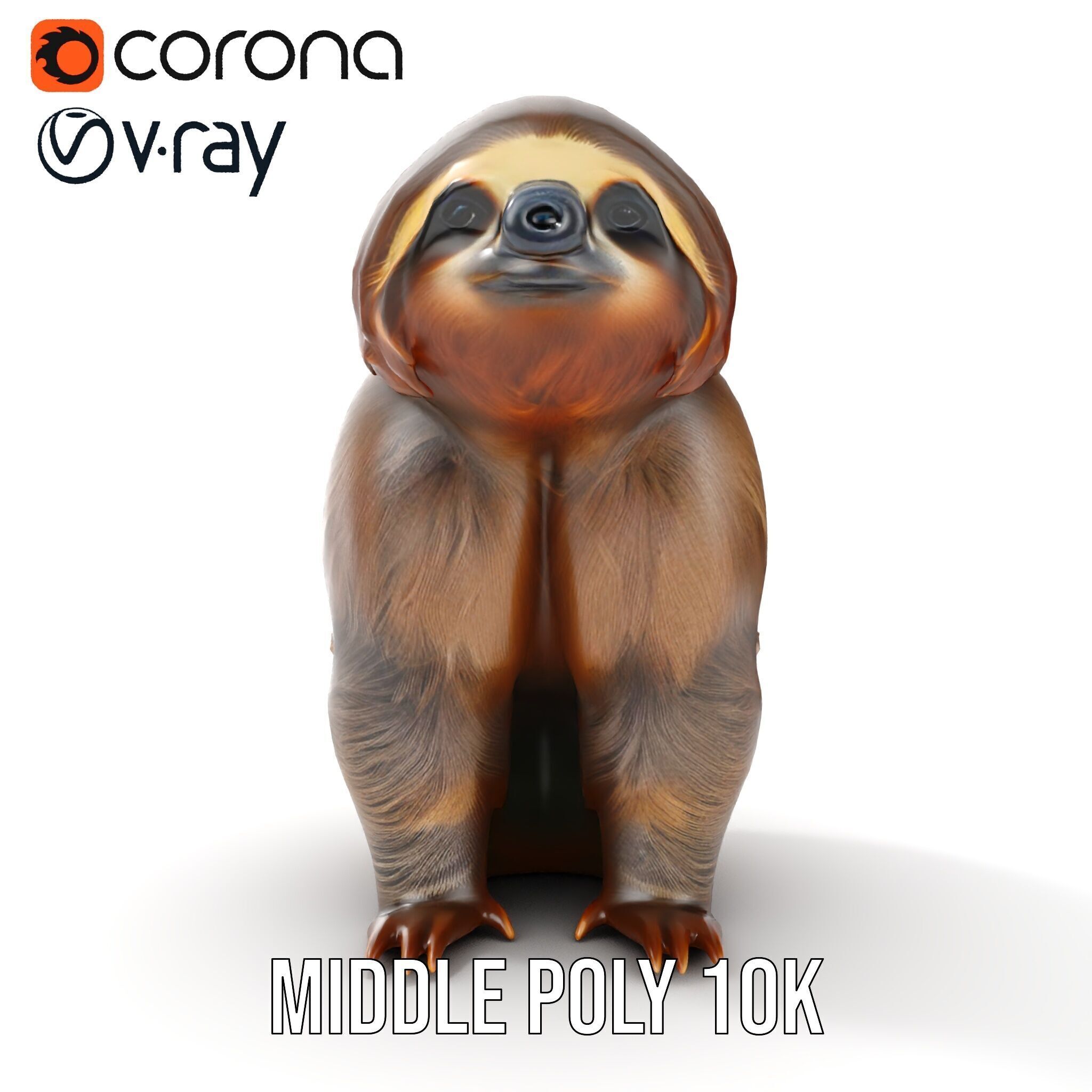 Sloth D model pack  Realistic and Detailed Low-poly 3D model_9