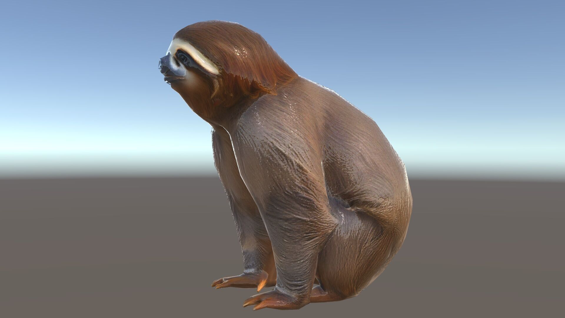 Sloth D model pack  Realistic and Detailed Low-poly 3D model_35