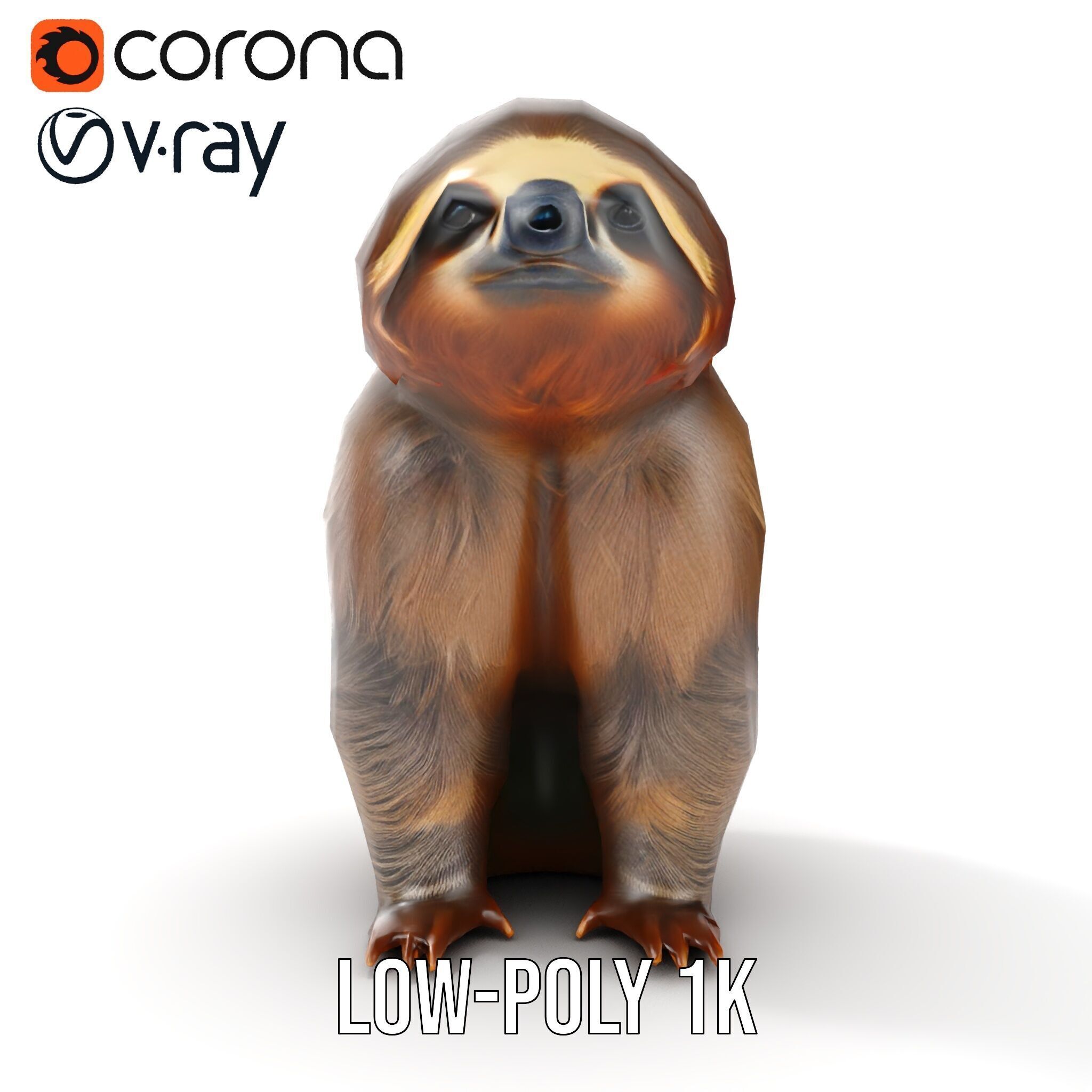 Sloth D model pack  Realistic and Detailed Low-poly 3D model_13