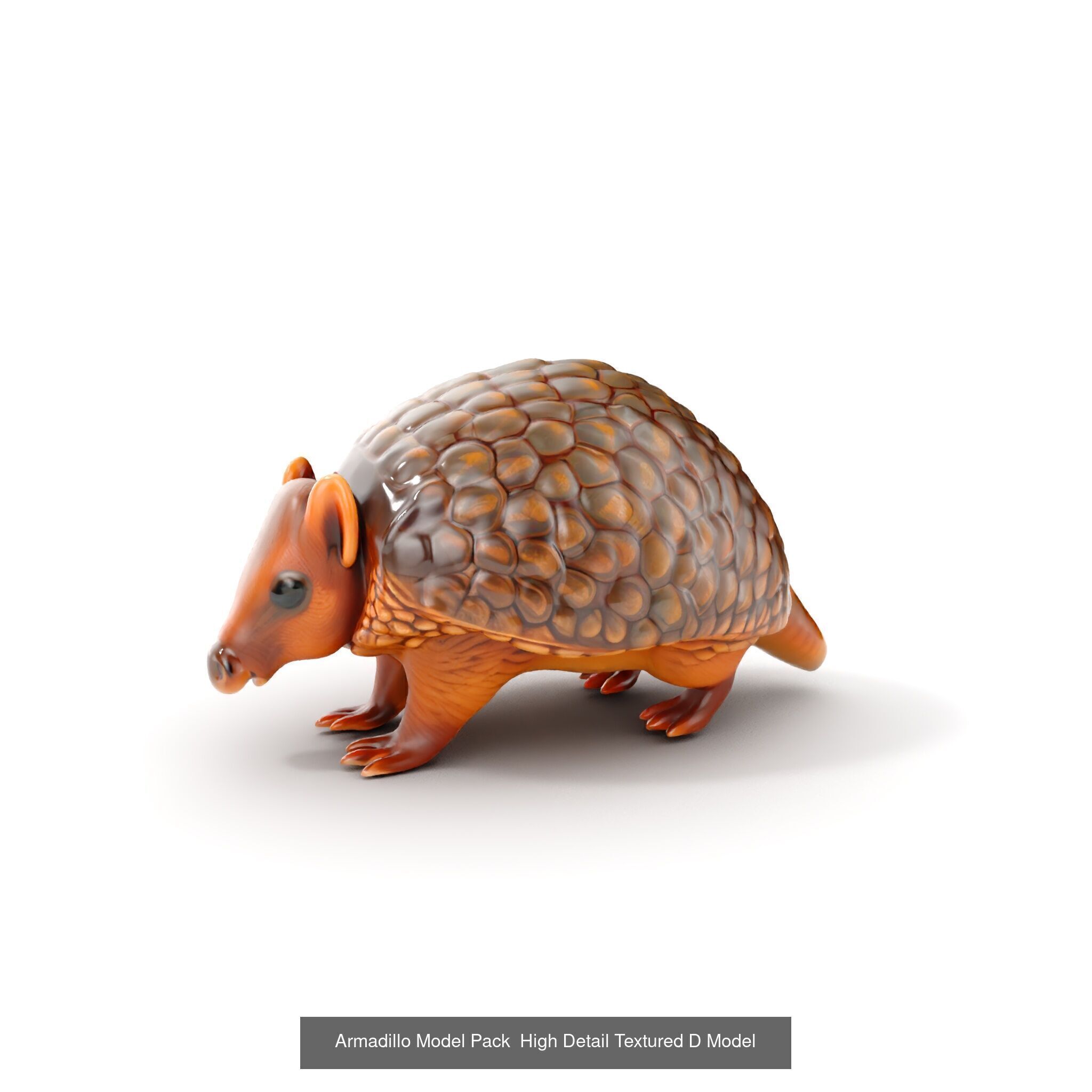 desert animalc collection _33