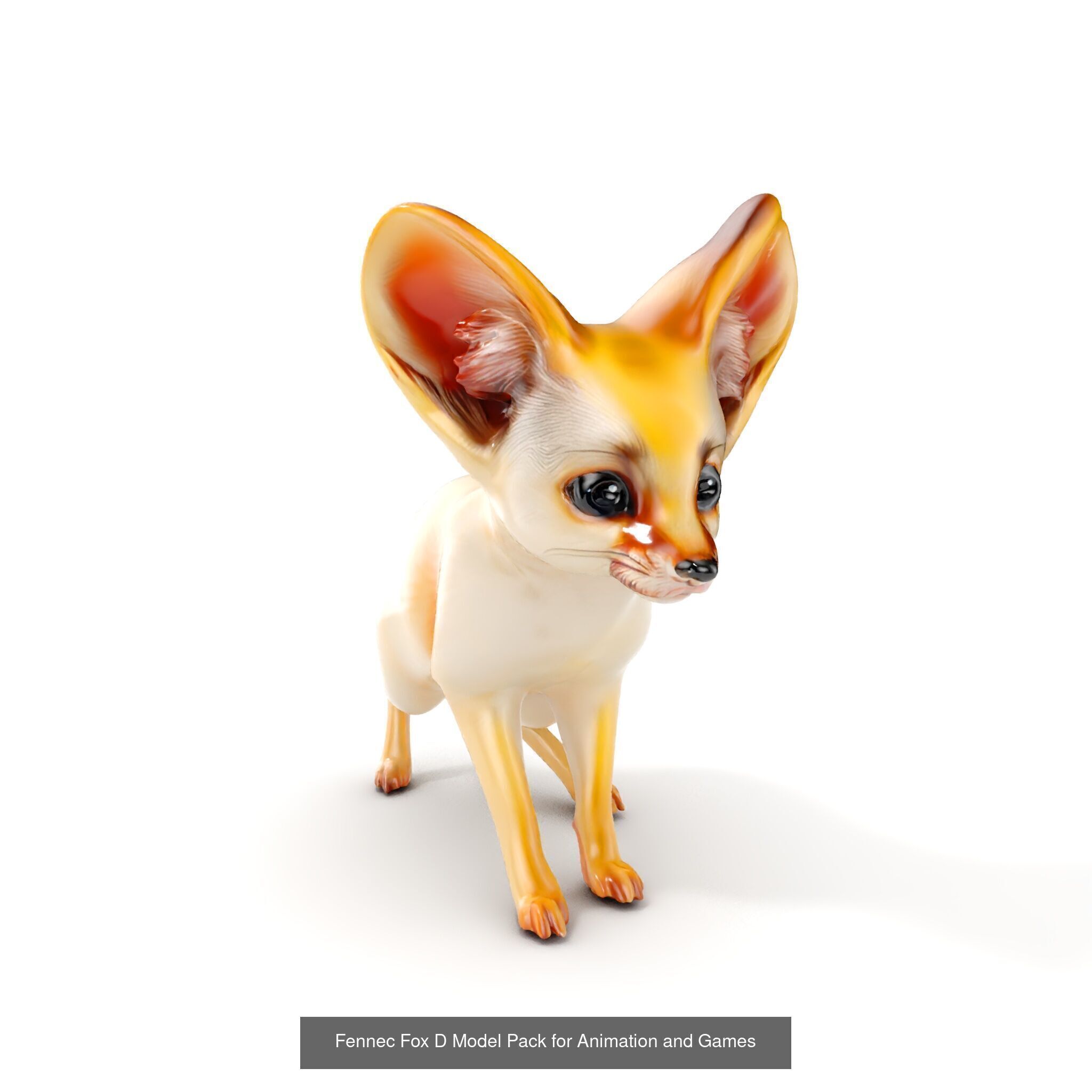 desert animalc collection _27