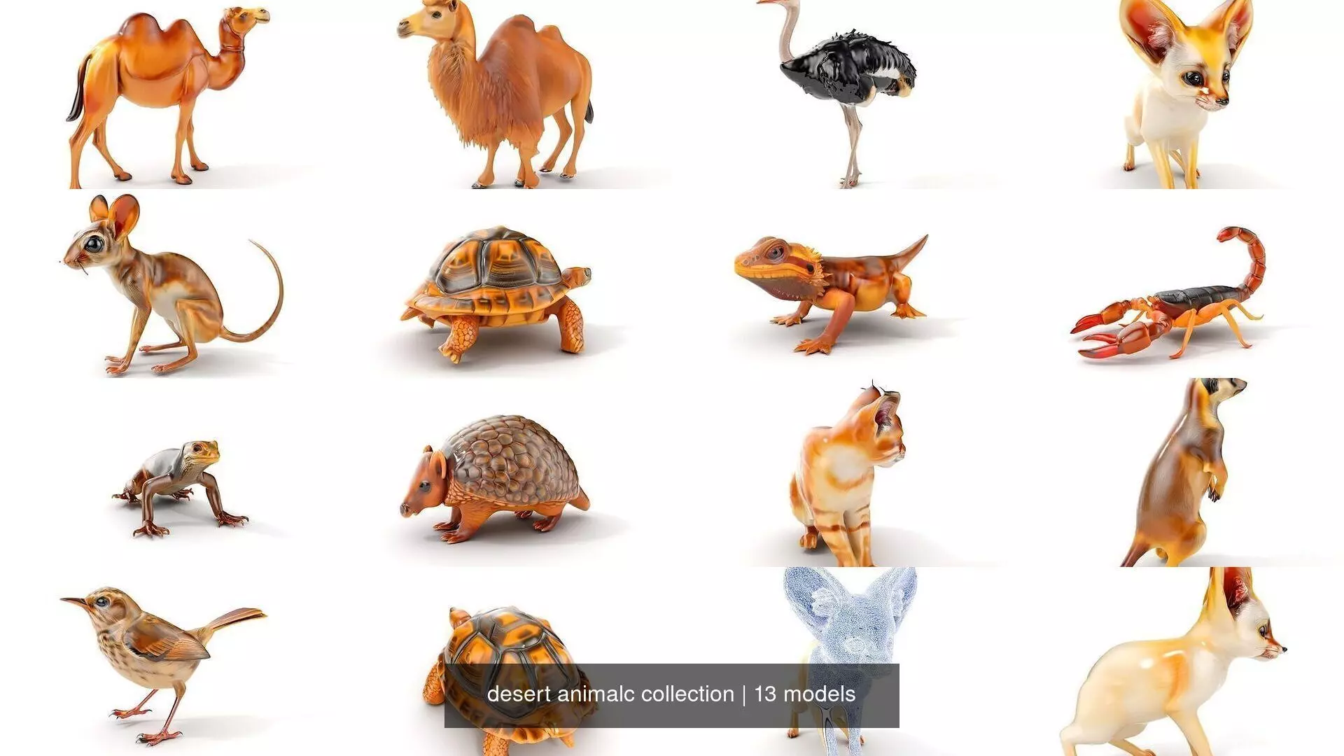 desert animalc collection _0