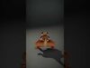desert animalc collection _13