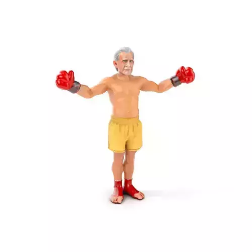 Elderly Boxer Character Model  Rigged and Animated Low-poly 3D model