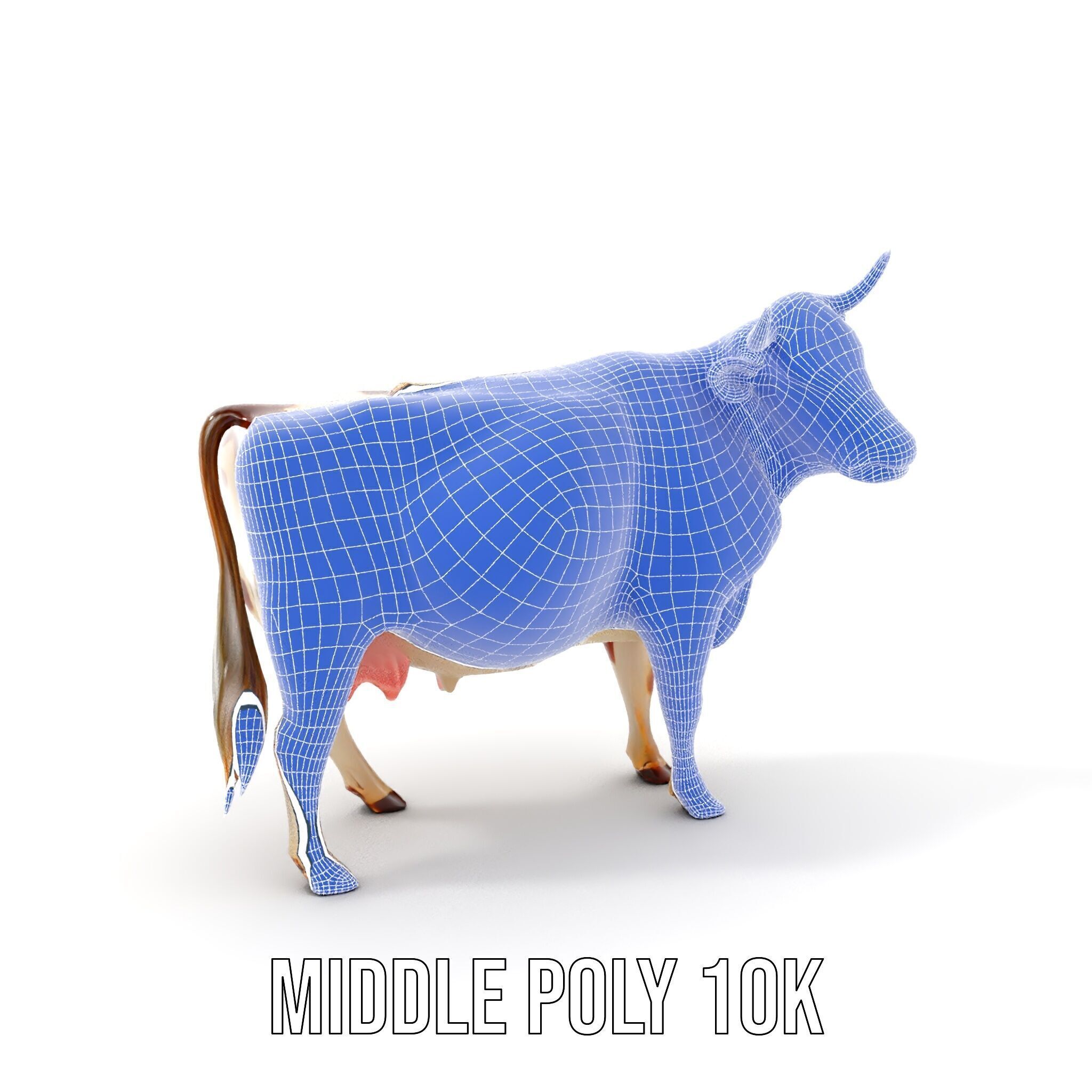 Realistic Farm Cow D Model Pack Low-poly 3D model_16