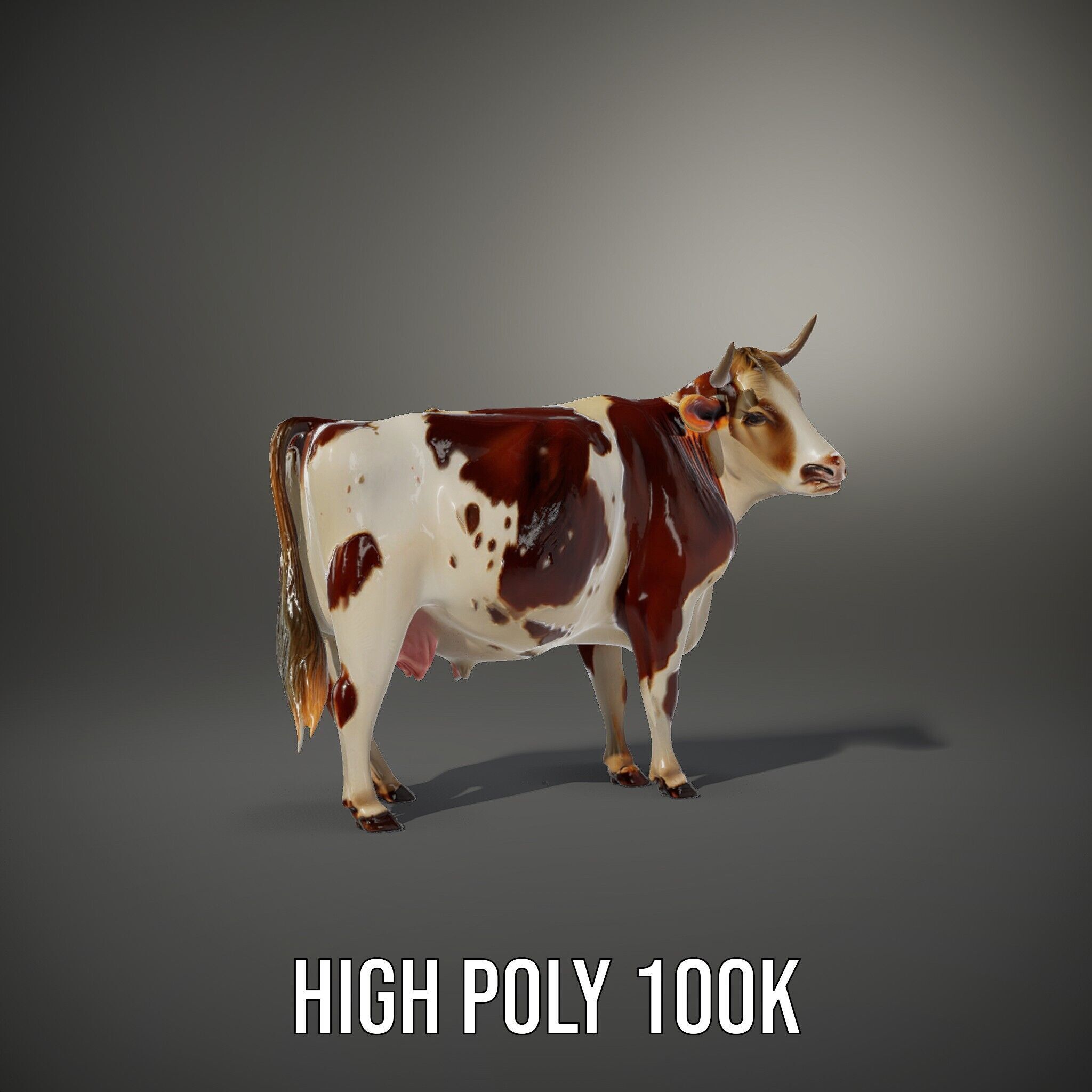 Realistic Farm Cow D Model Pack Low-poly 3D model_9