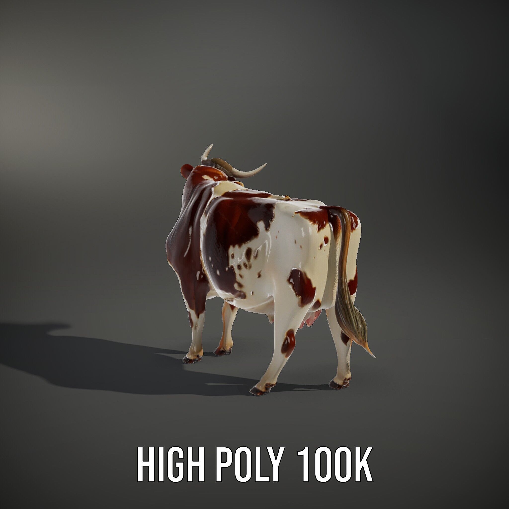 Realistic Farm Cow D Model Pack Low-poly 3D model_15