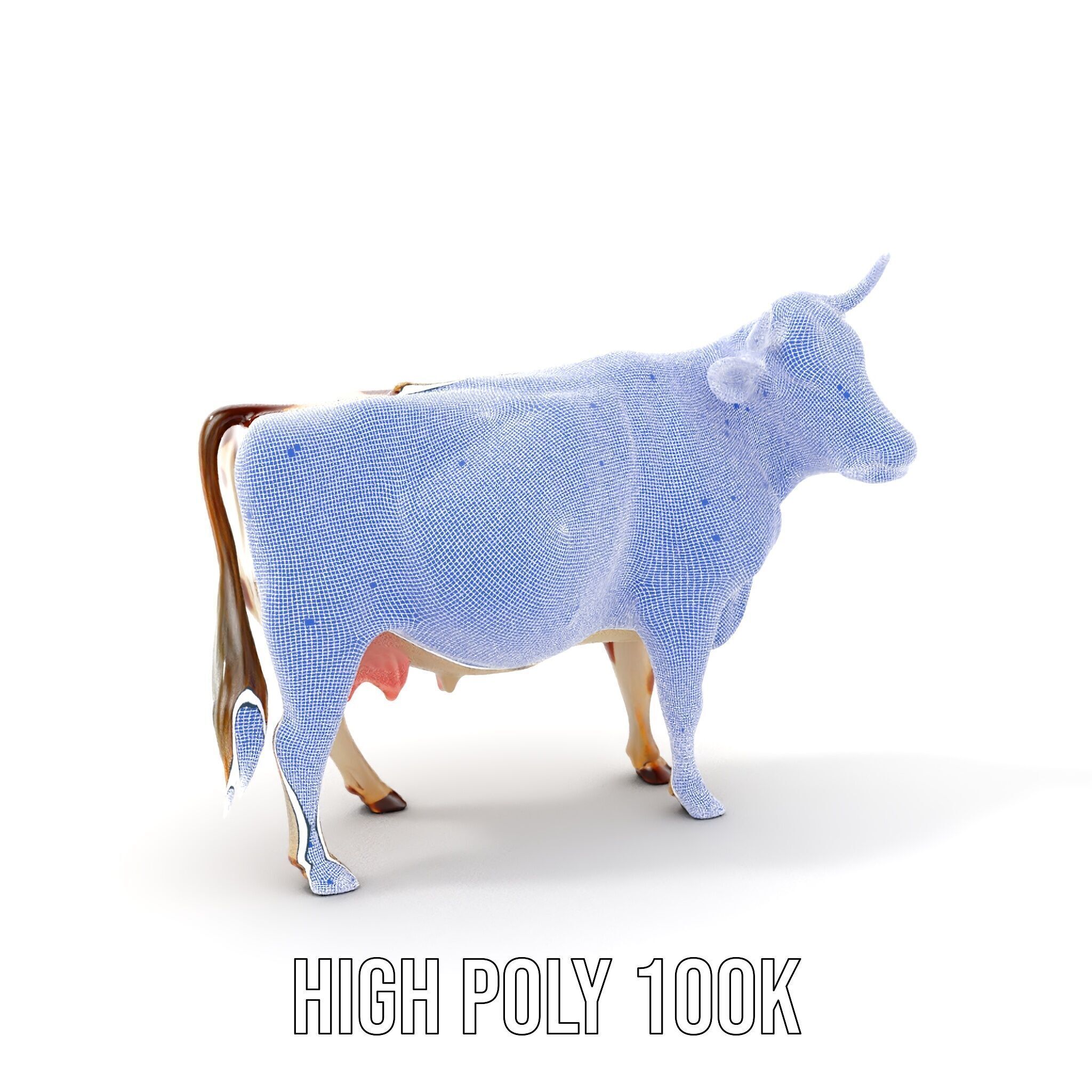Realistic Farm Cow D Model Pack Low-poly 3D model_5