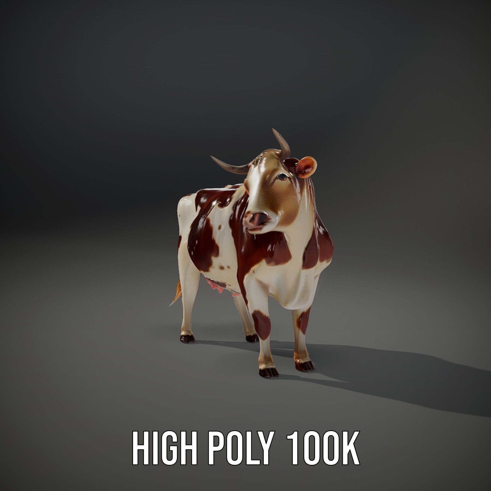 Realistic Farm Cow D Model Pack Low-poly 3D model_12