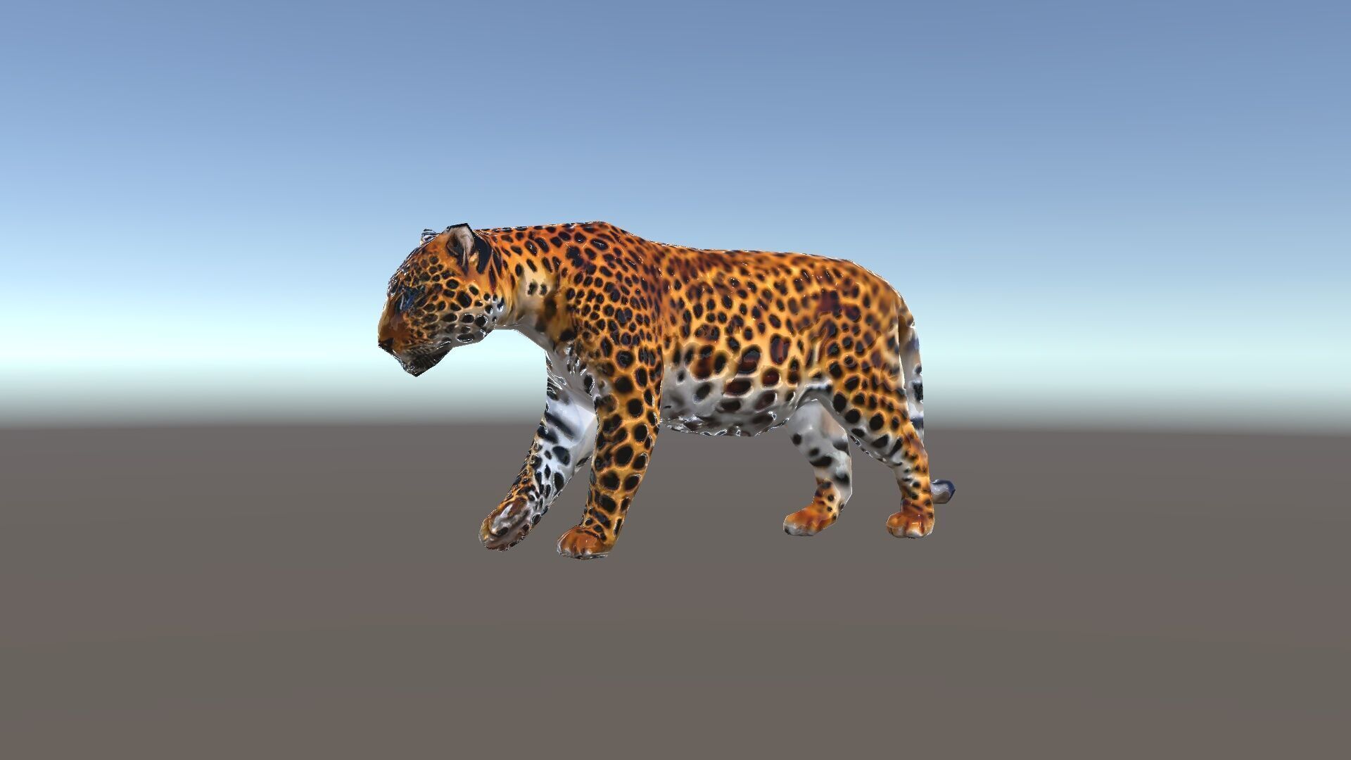 Elegant Jaguar Model Pack for Realistic D Rendering Low-poly 3D model_36