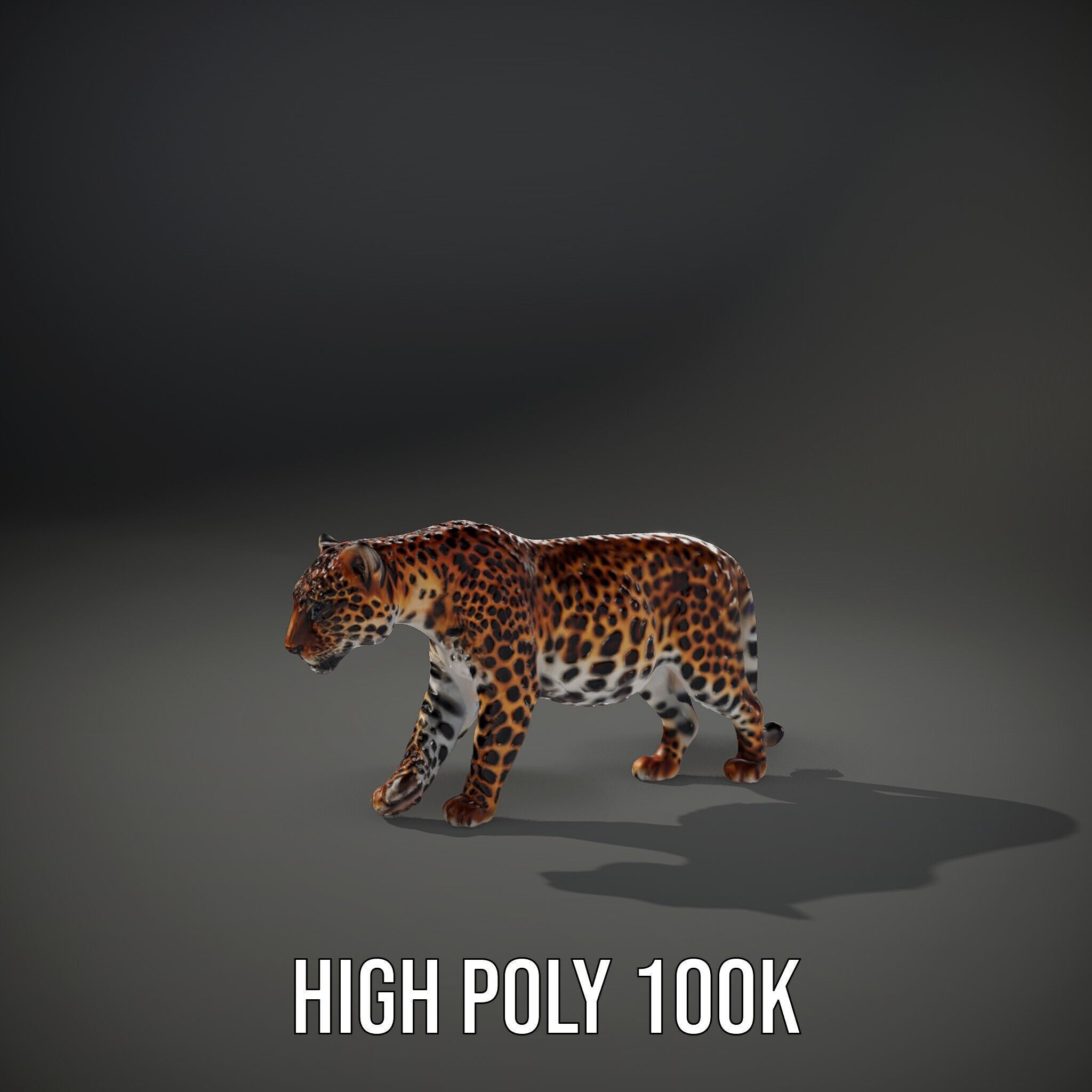 Elegant Jaguar Model Pack for Realistic D Rendering Low-poly 3D model_12