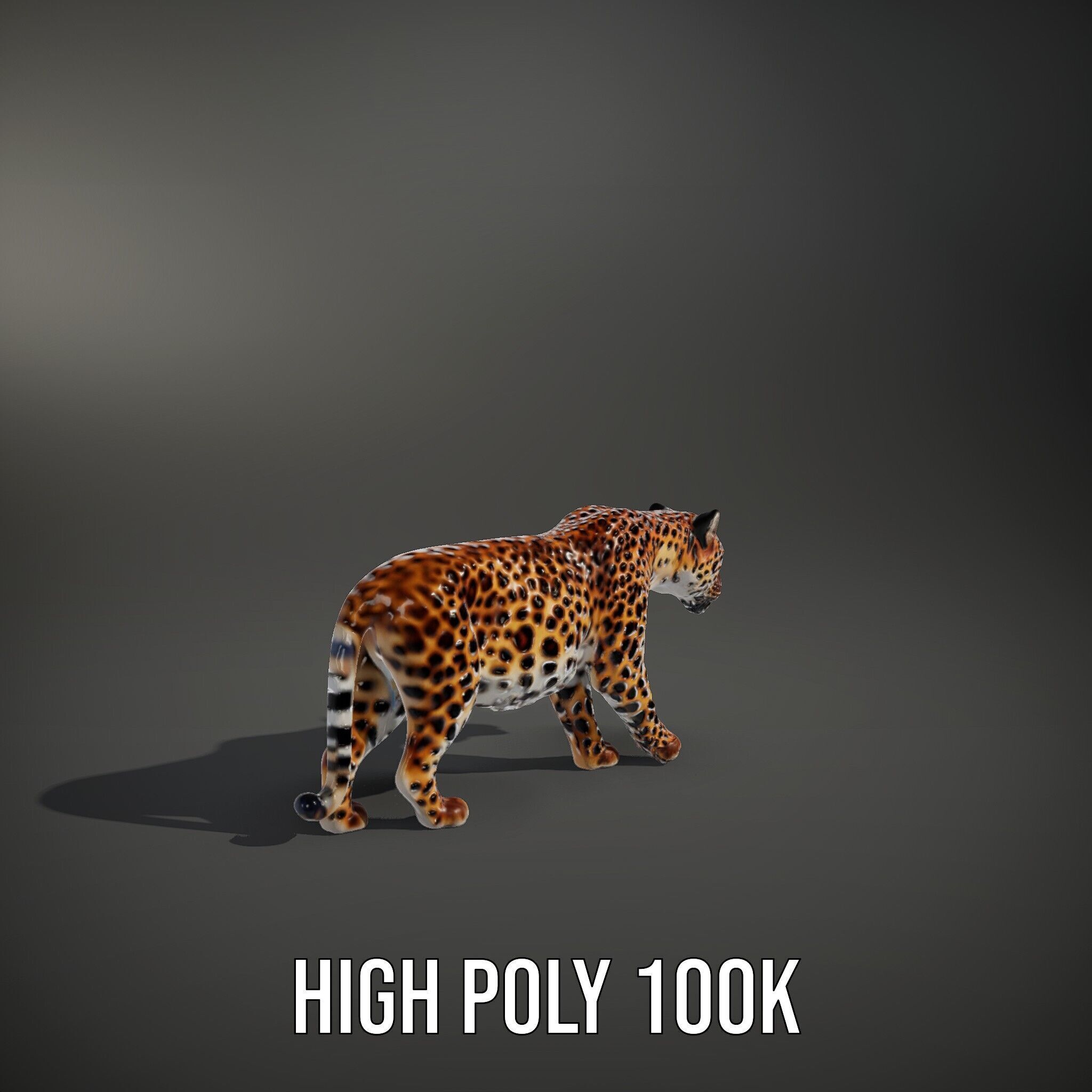 Elegant Jaguar Model Pack for Realistic D Rendering Low-poly 3D model_9