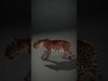 Elegant Jaguar Model Pack for Realistic D Rendering Low-poly 3D model_2