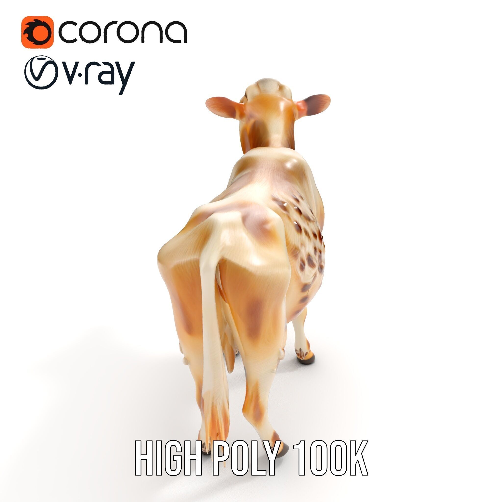 Realistic Cow Model Pack for Animation and Games Low-poly 3D model_11