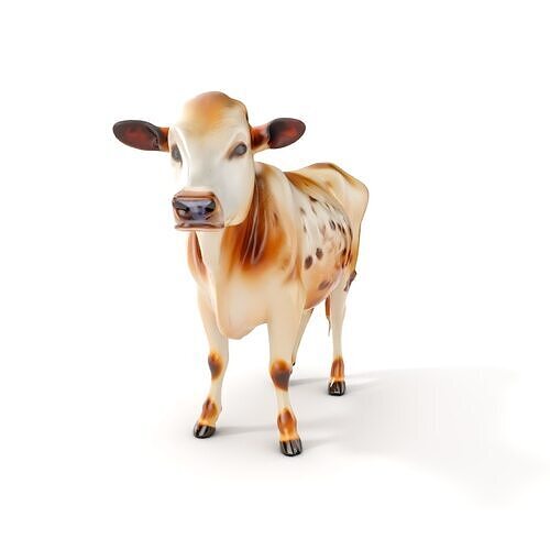 Realistic Cow Model Pack for Animation and Games Low-poly 3D model