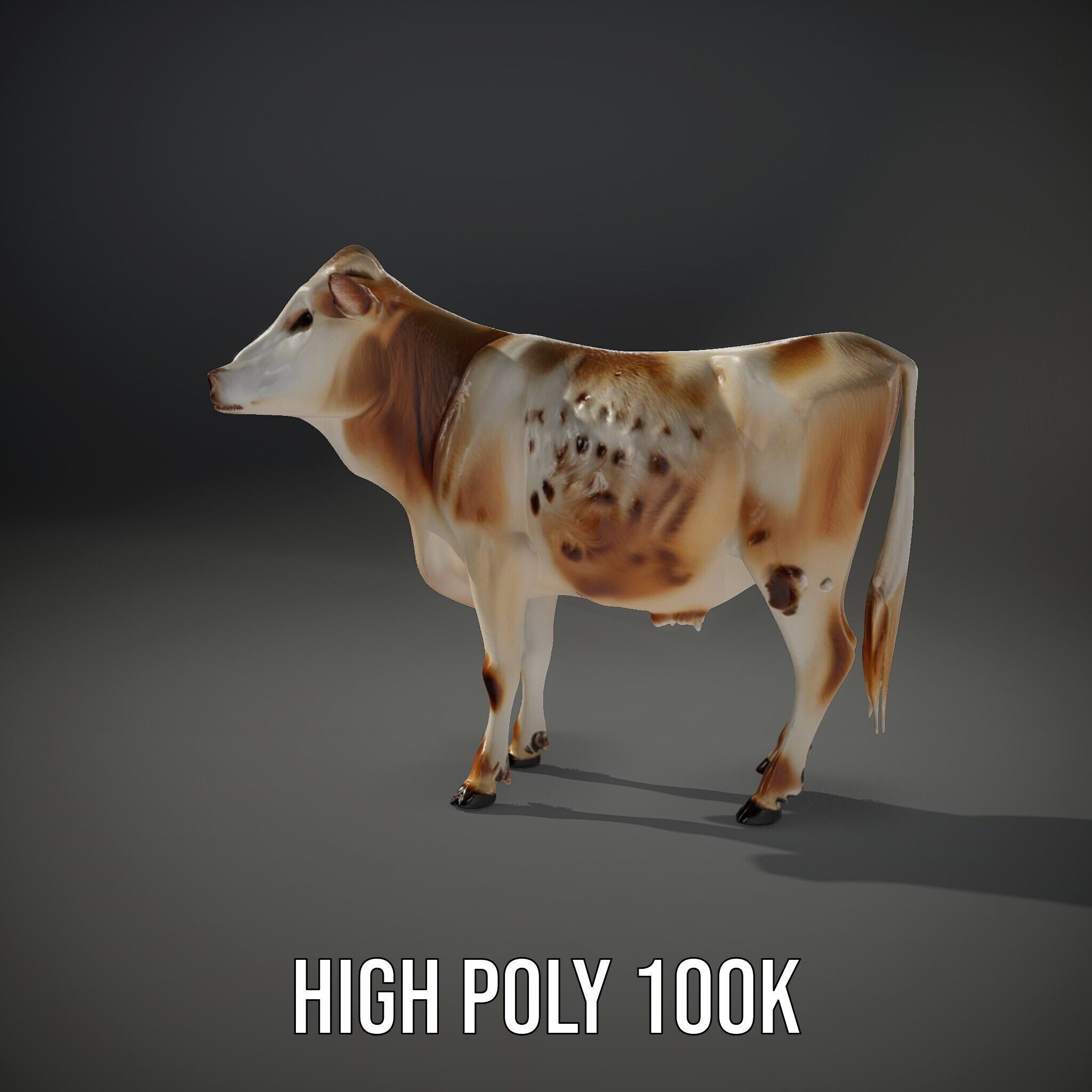 Realistic Cow Model Pack for Animation and Games Low-poly 3D model_9